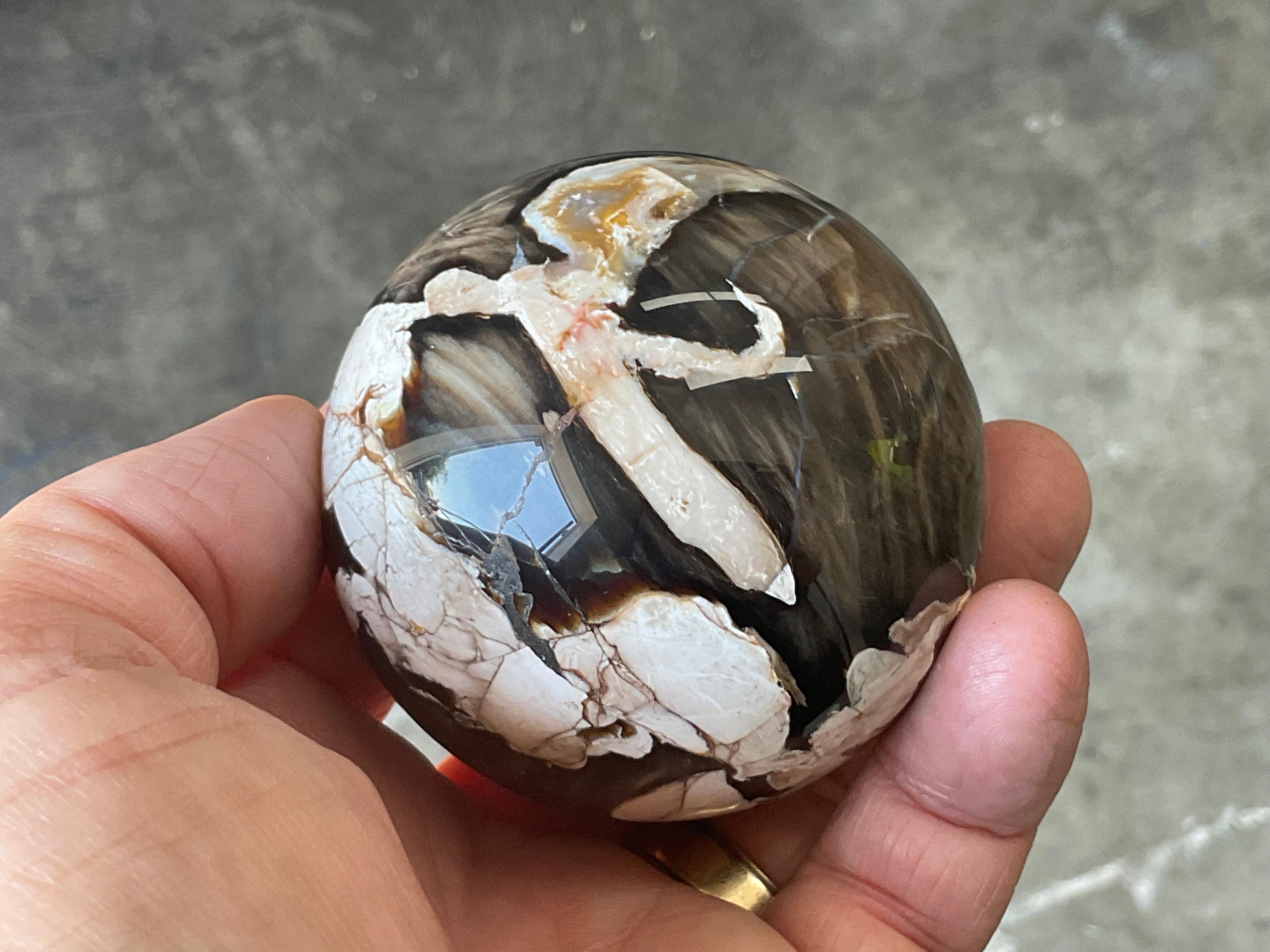 324g Western Australian “Peanut Wood” Sphere 4A