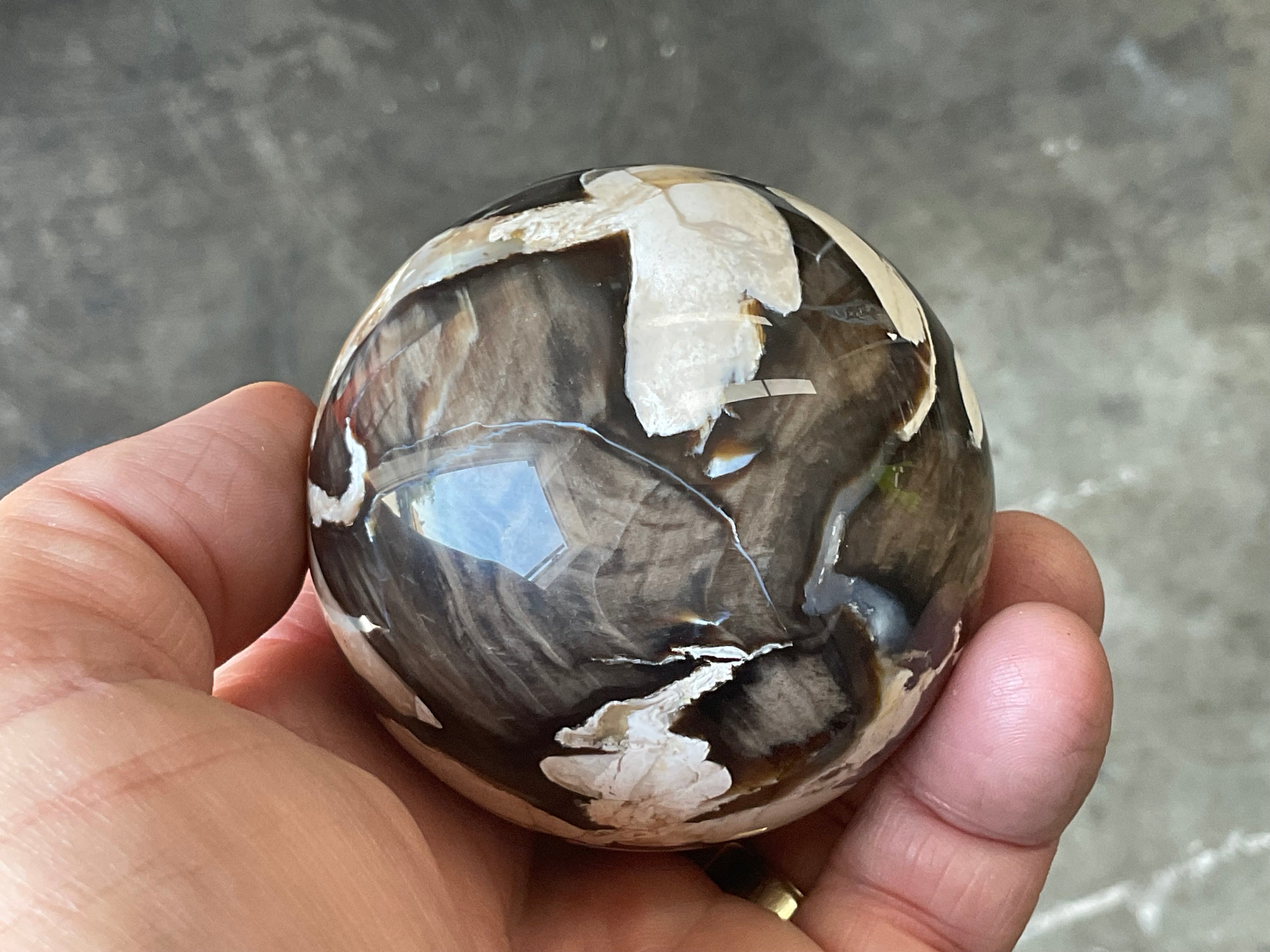 324g Western Australian “Peanut Wood” Sphere 4A