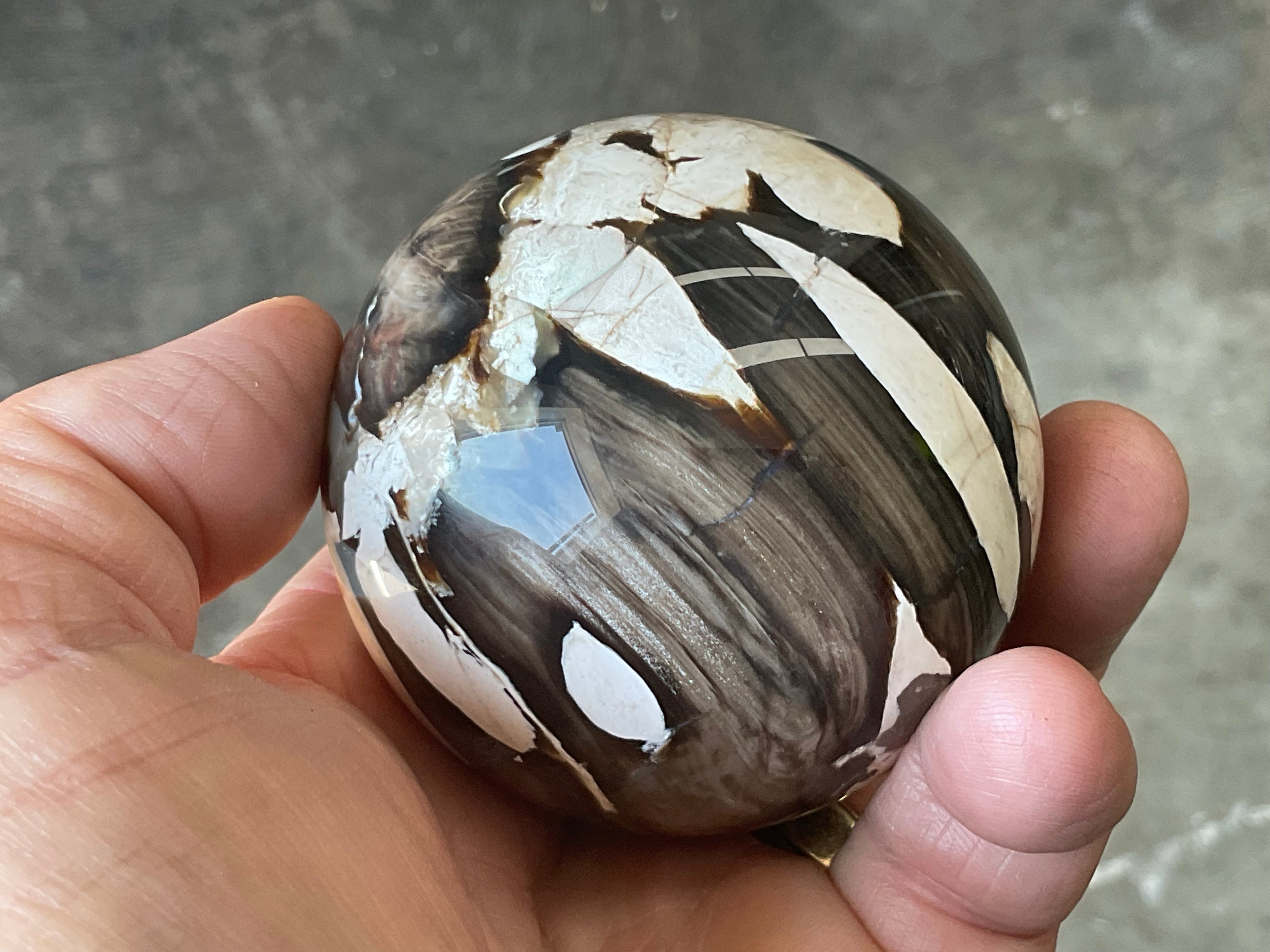 324g Western Australian “Peanut Wood” Sphere 4A