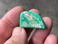 10g Tumbled Variscite Piece 1C