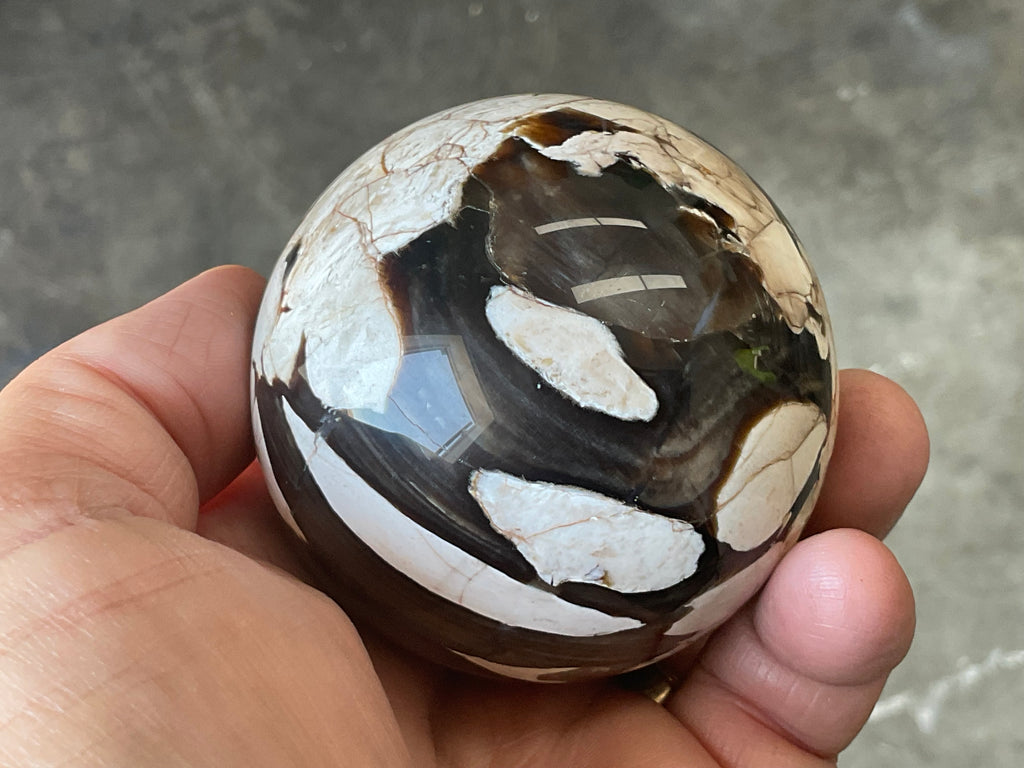 324g Western Australian “Peanut Wood” Sphere 4A