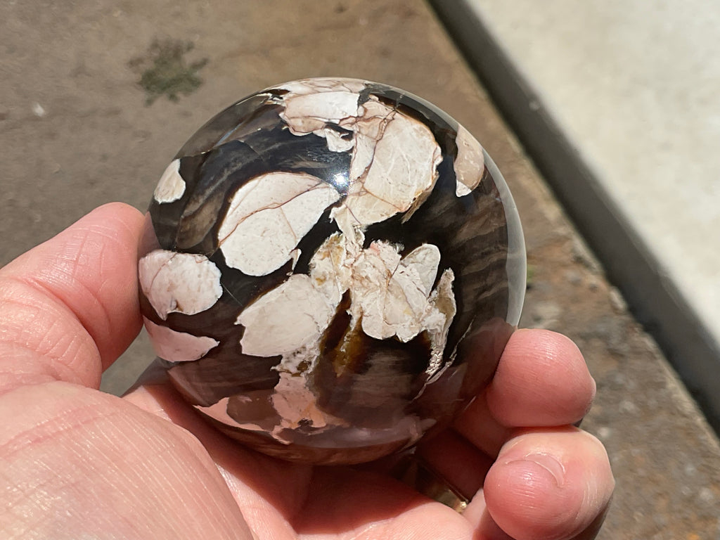 324g Western Australian “Peanut Wood” Sphere 4A