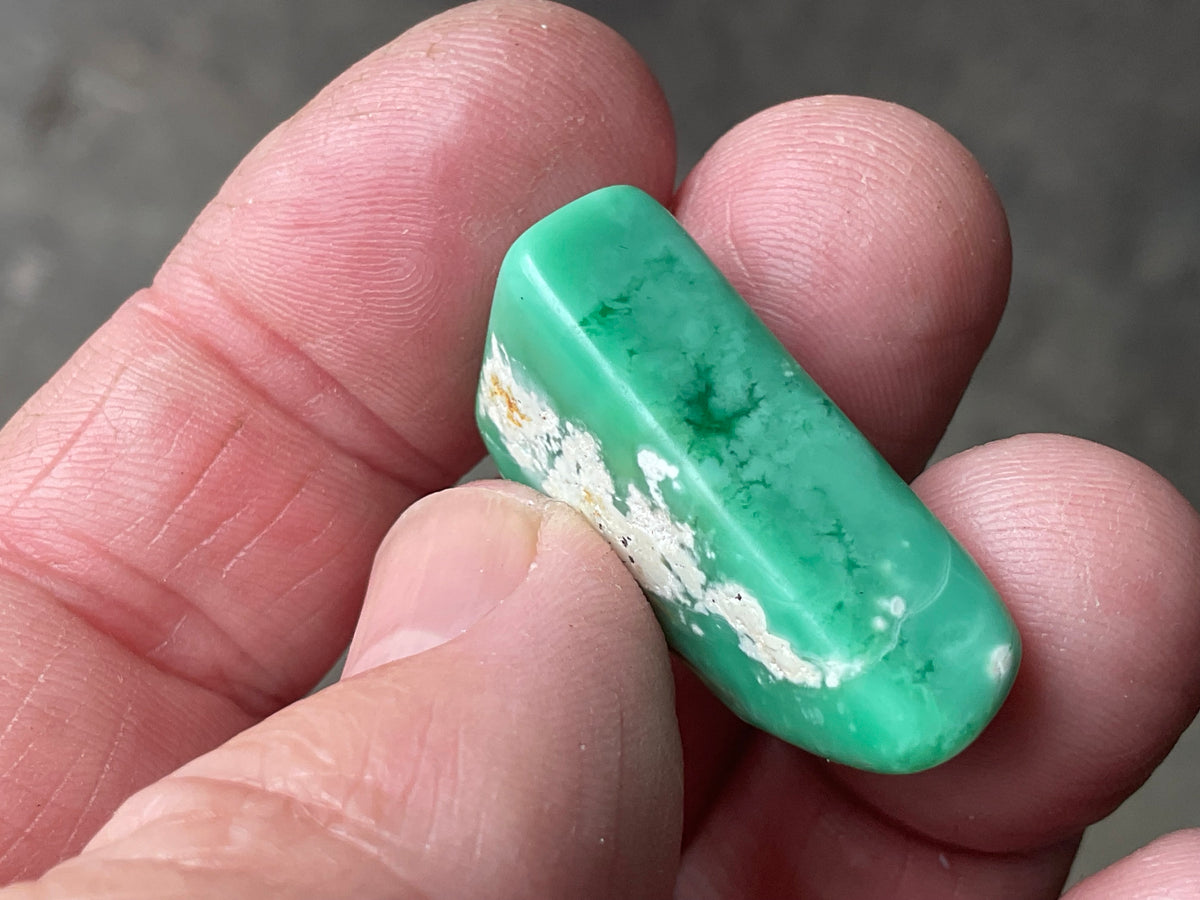 10g Tumbled Variscite Piece 1C
