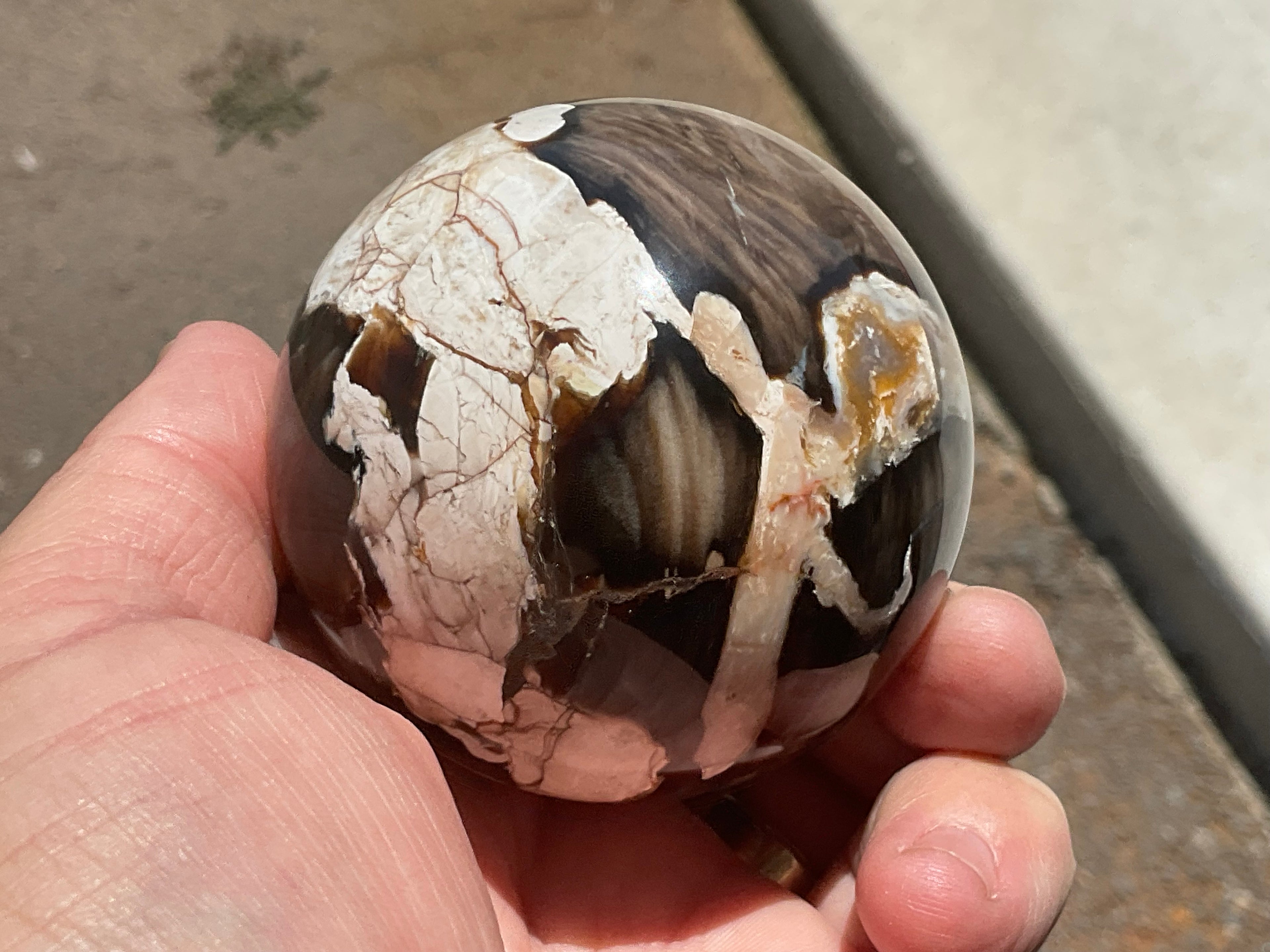 324g Western Australian “Peanut Wood” Sphere 4A
