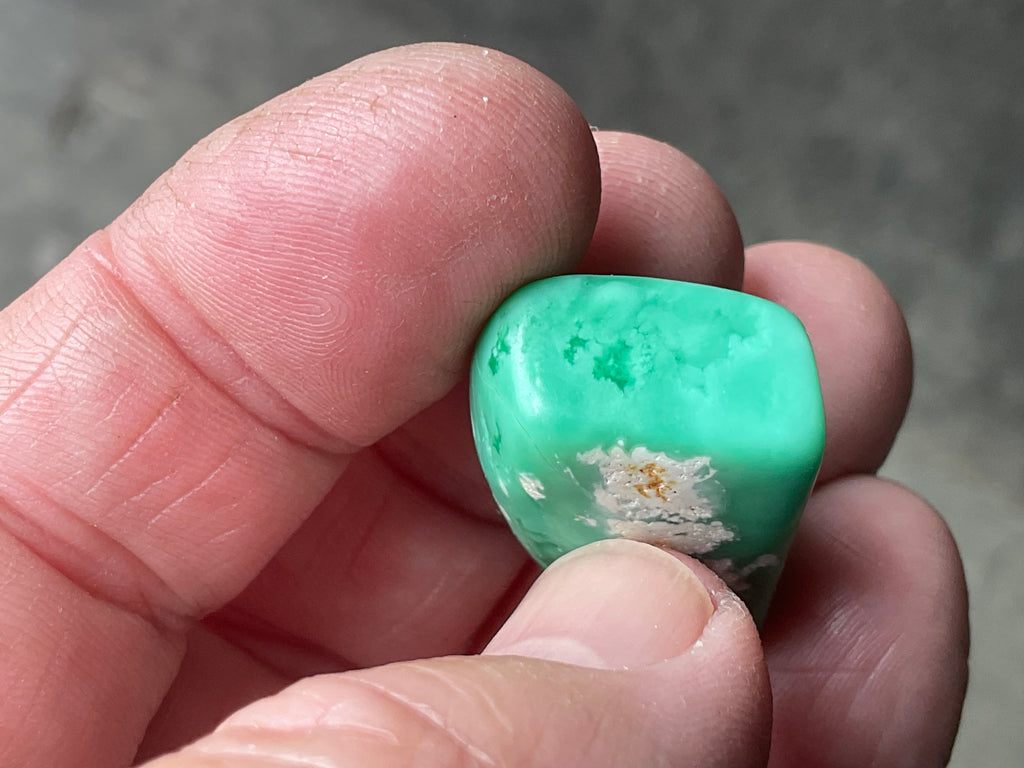 10g Tumbled Variscite Piece 1C