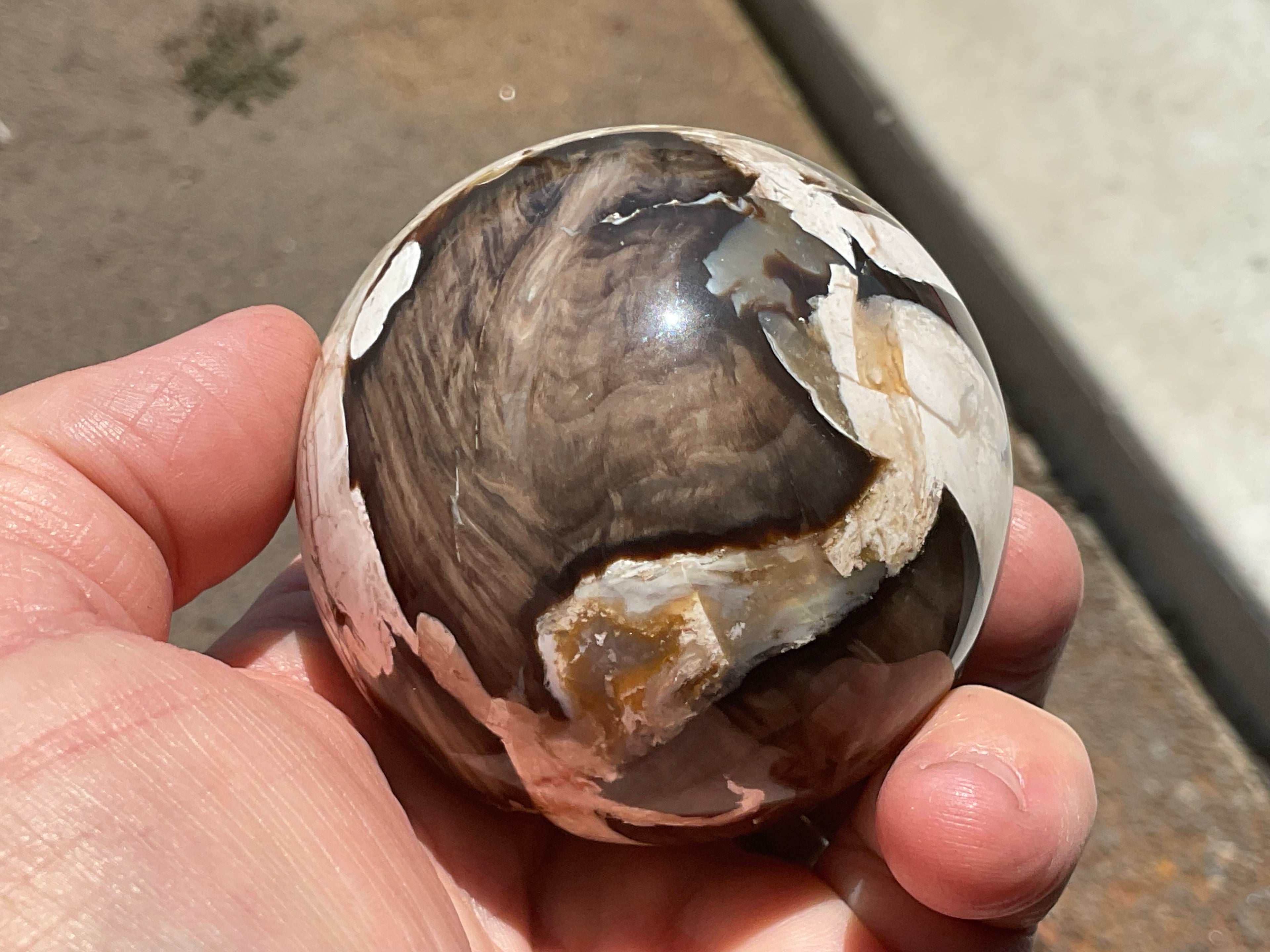 324g Western Australian “Peanut Wood” Sphere 4A