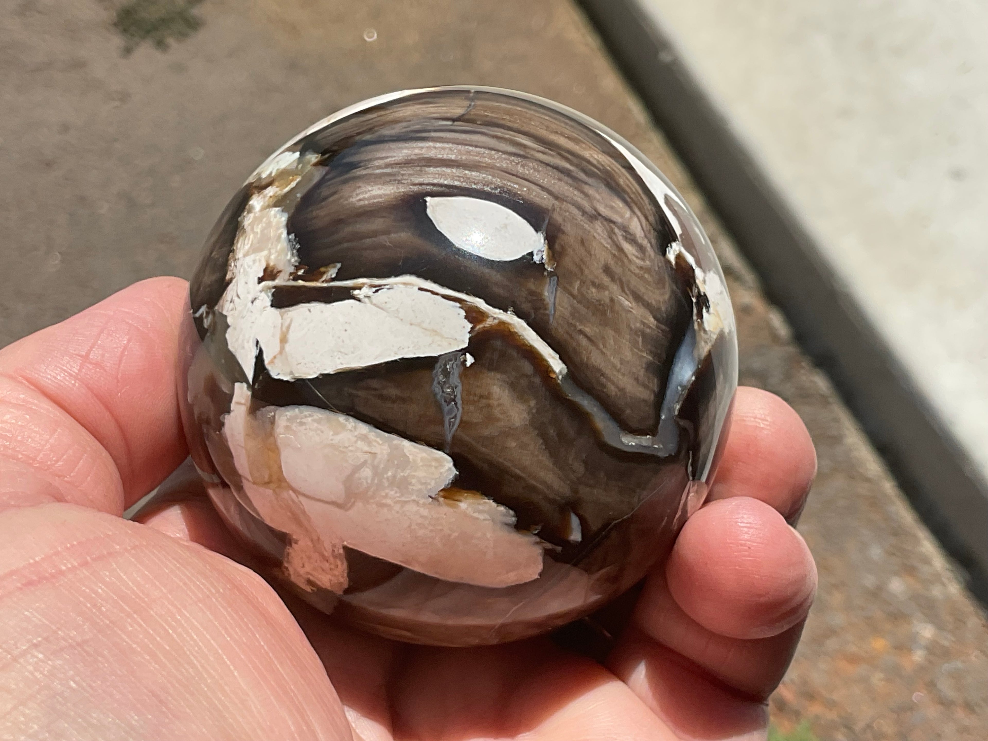324g Western Australian “Peanut Wood” Sphere 4A