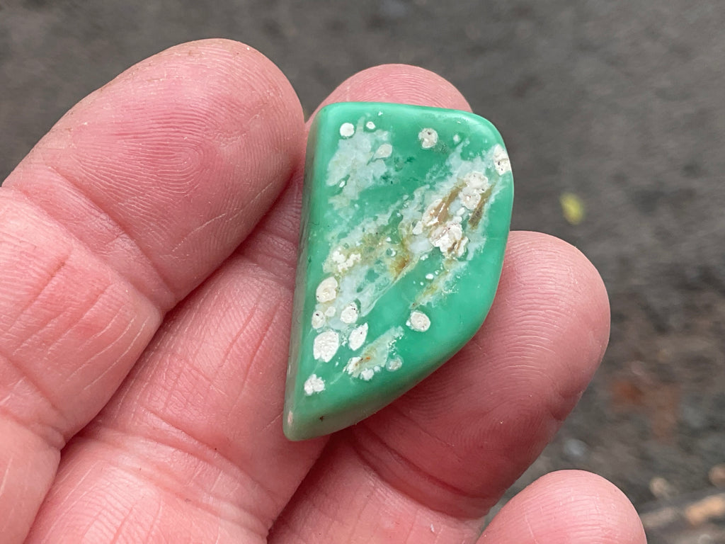 10g Tumbled Variscite Piece 1C
