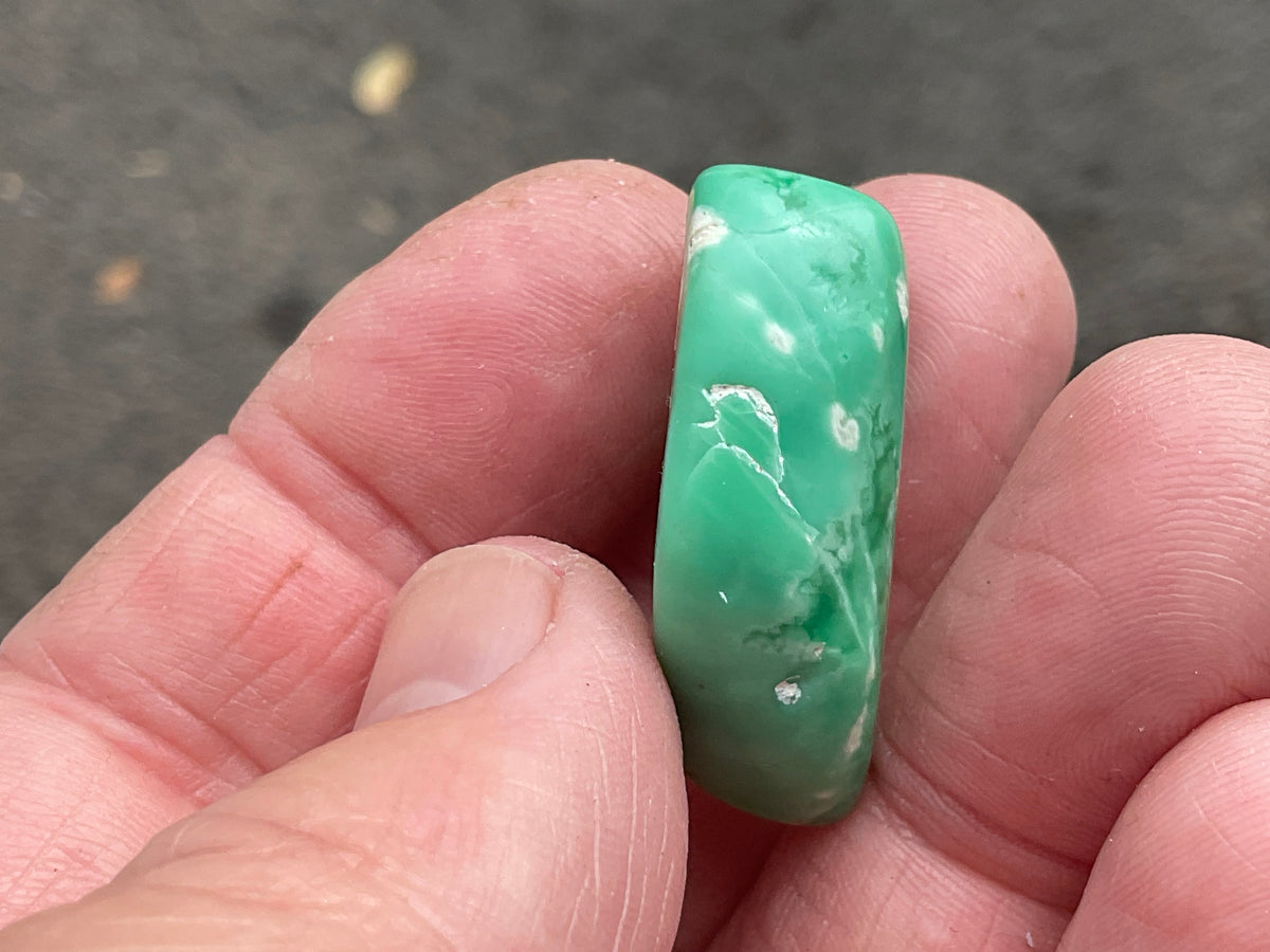 10g Tumbled Variscite Piece 1C