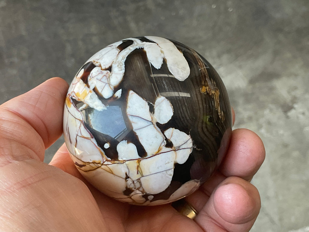 334g Western Australian “Peanut Wood” Sphere 4B