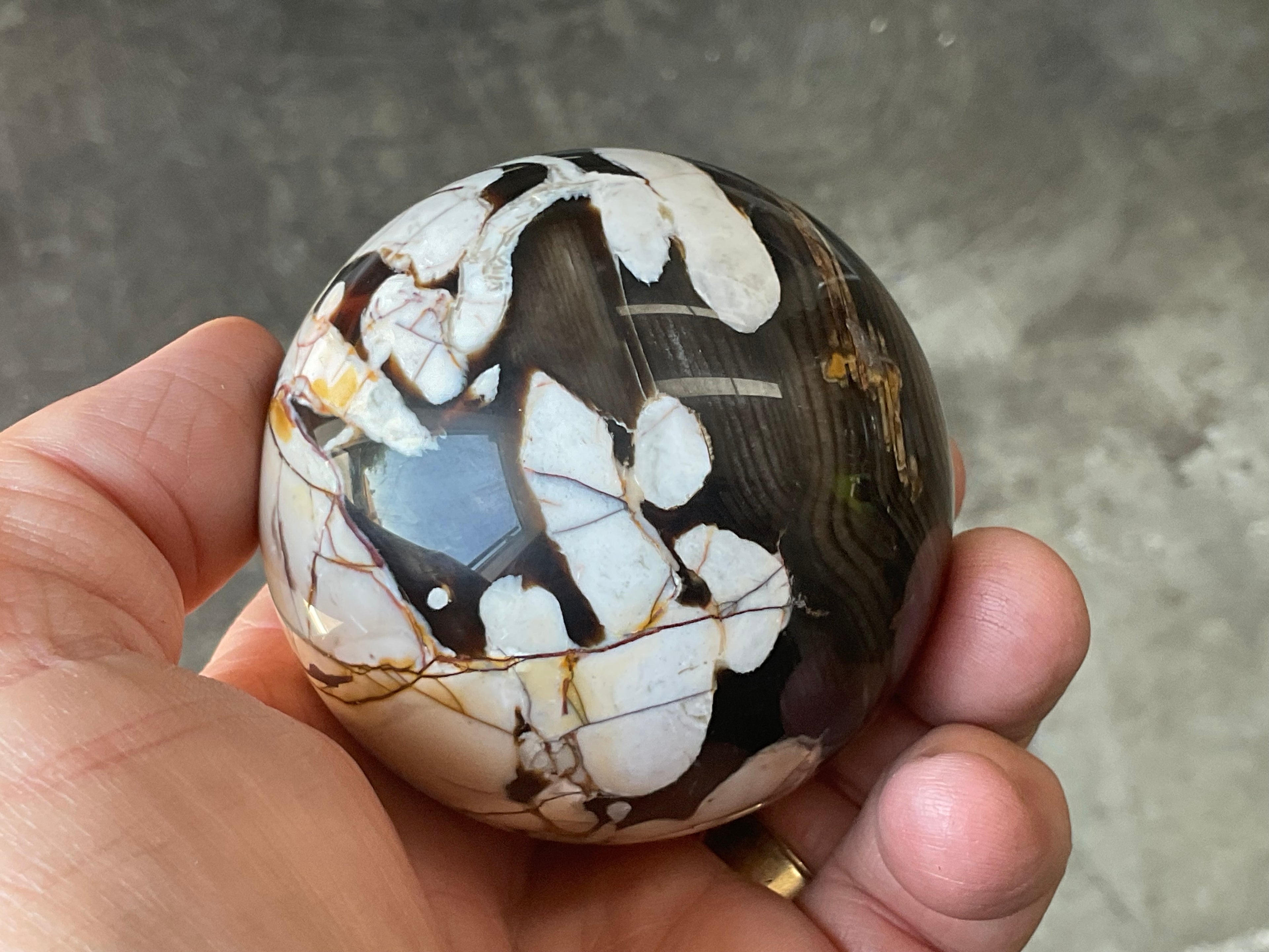 334g Western Australian “Peanut Wood” Sphere 4B