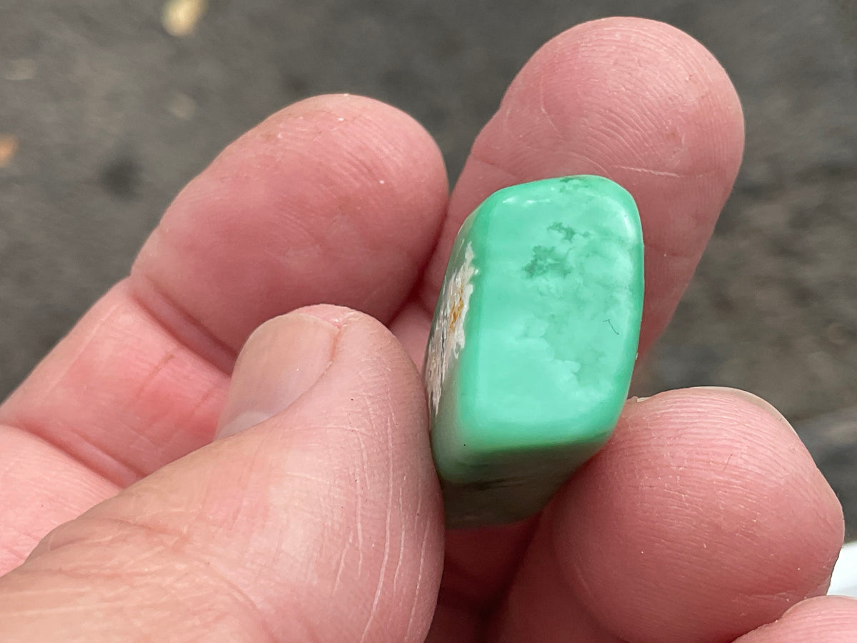 10g Tumbled Variscite Piece 1C