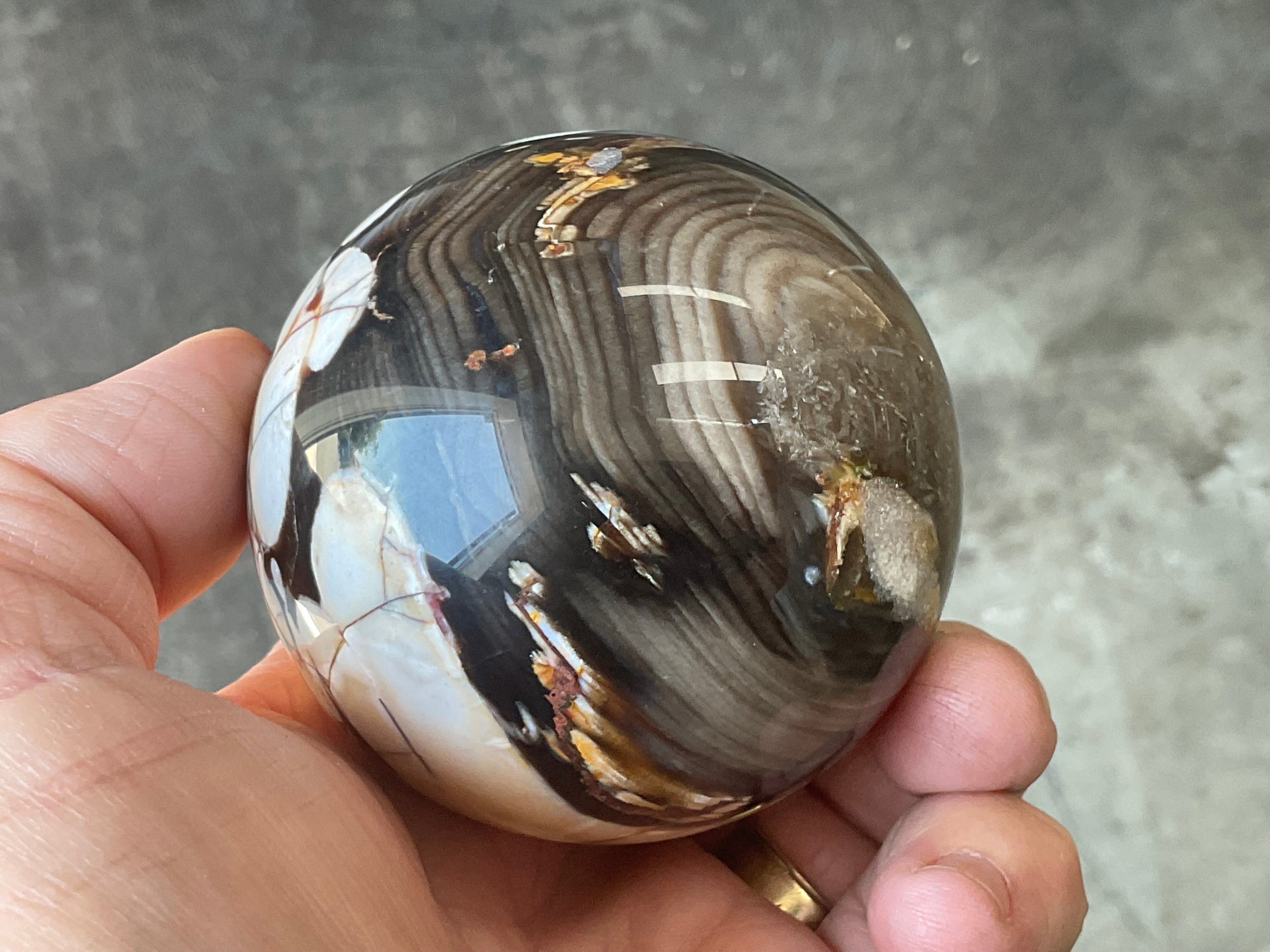 334g Western Australian “Peanut Wood” Sphere 4B