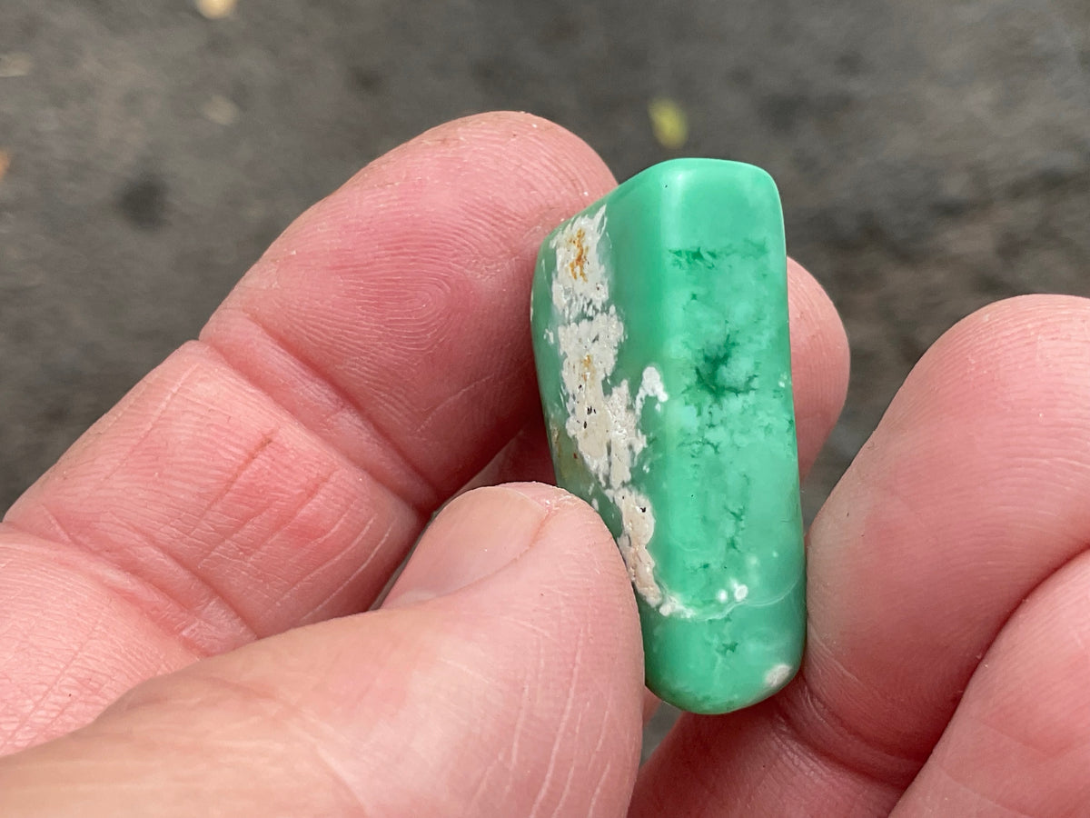 10g Tumbled Variscite Piece 1C