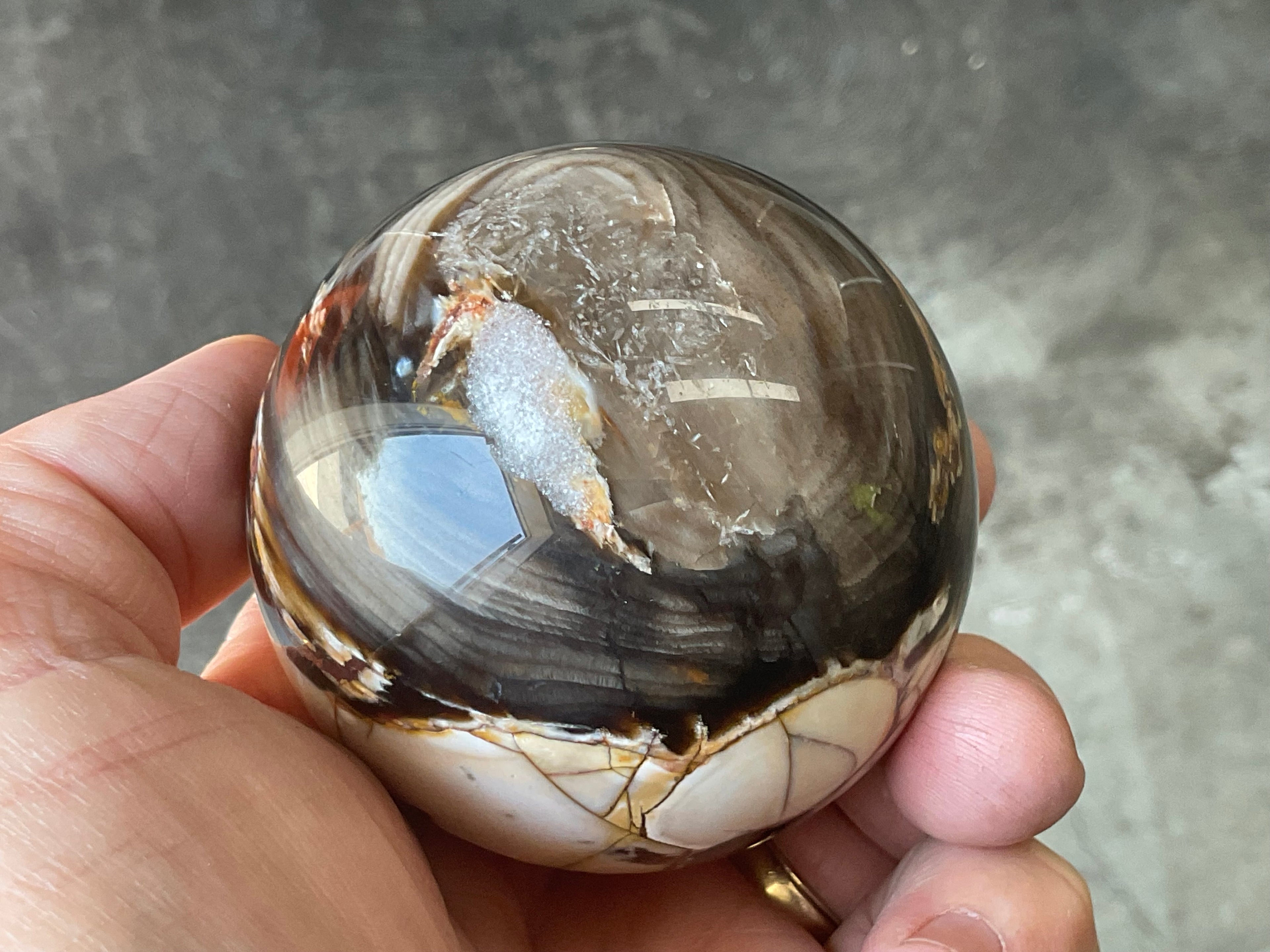 334g Western Australian “Peanut Wood” Sphere 4B