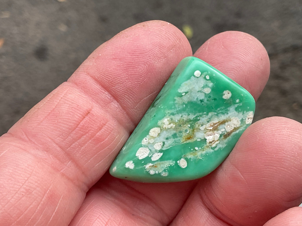 10g Tumbled Variscite Piece 1C