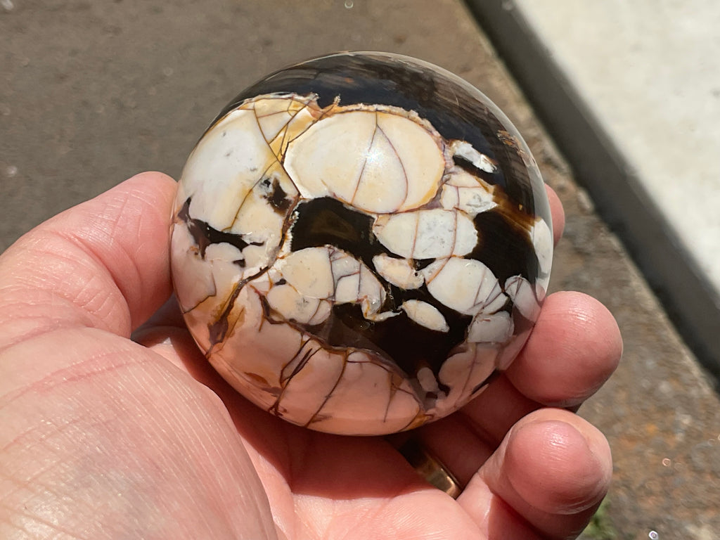 334g Western Australian “Peanut Wood” Sphere 4B
