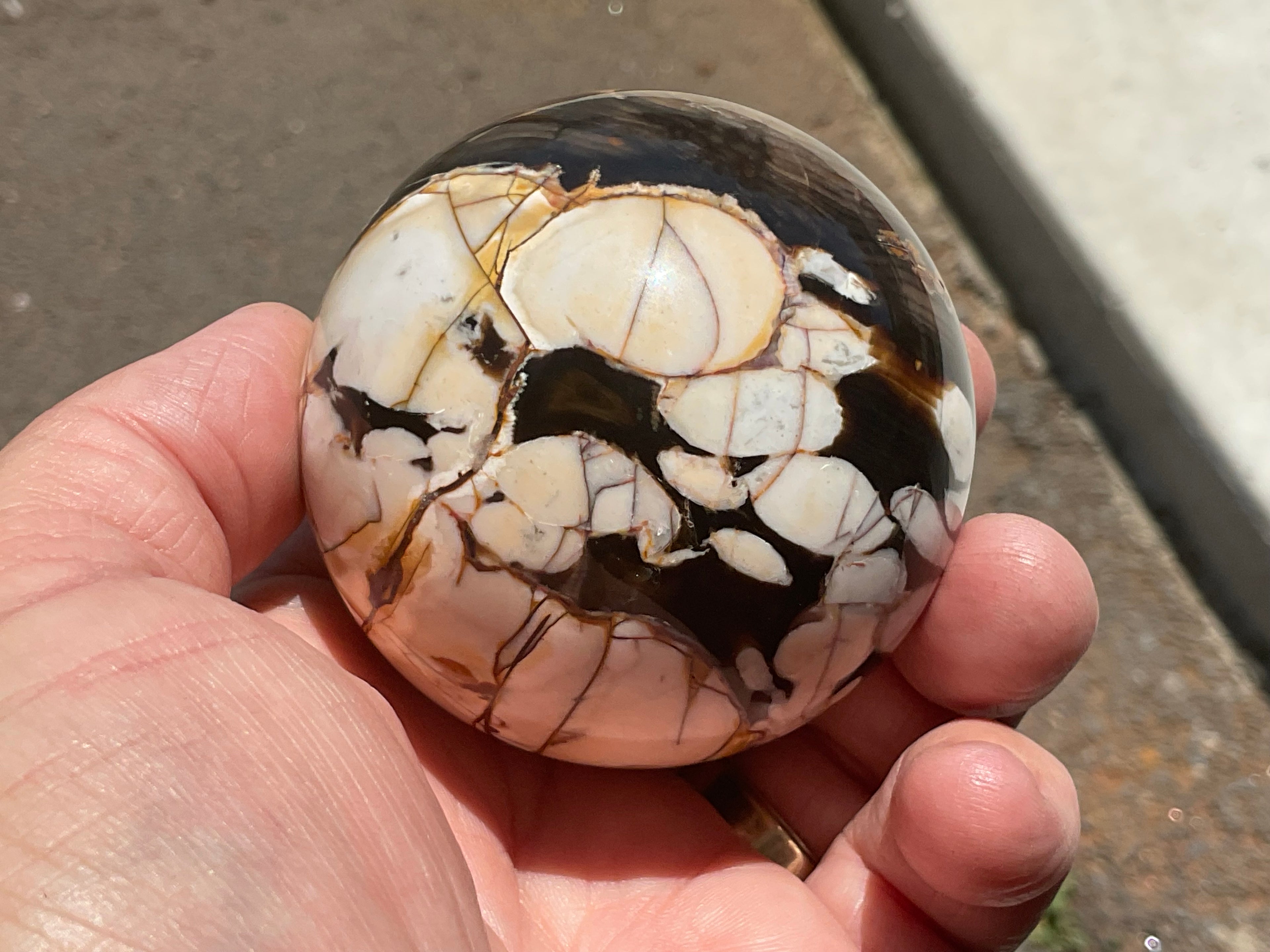 334g Western Australian “Peanut Wood” Sphere 4B