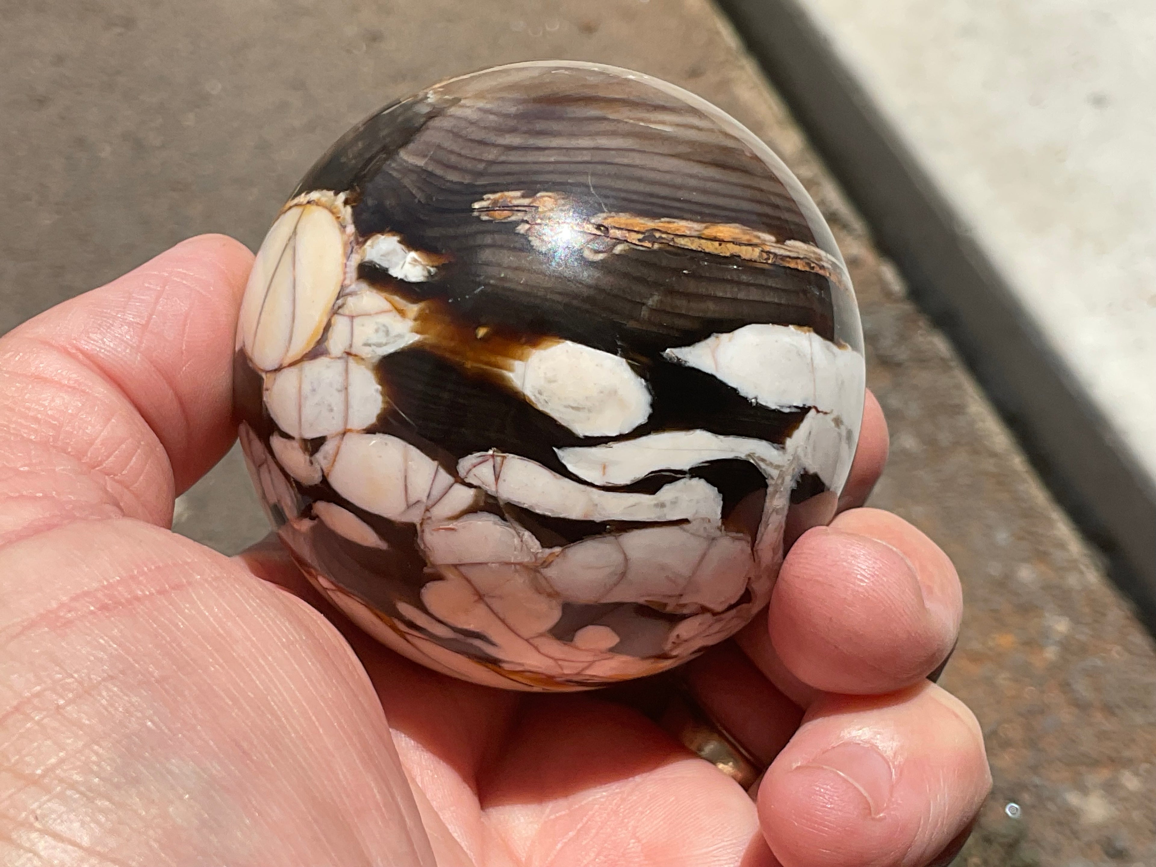 334g Western Australian “Peanut Wood” Sphere 4B
