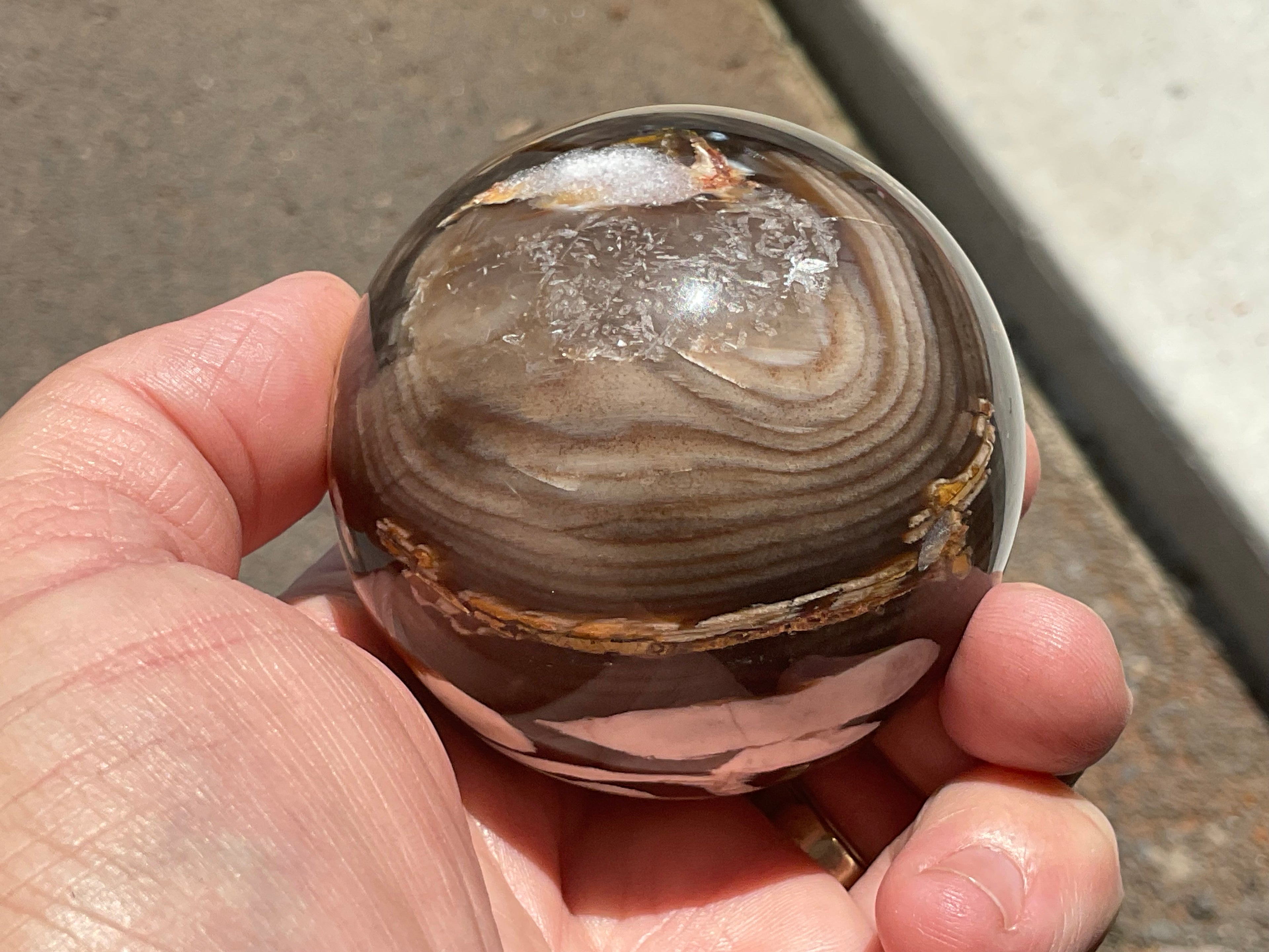 334g Western Australian “Peanut Wood” Sphere 4B