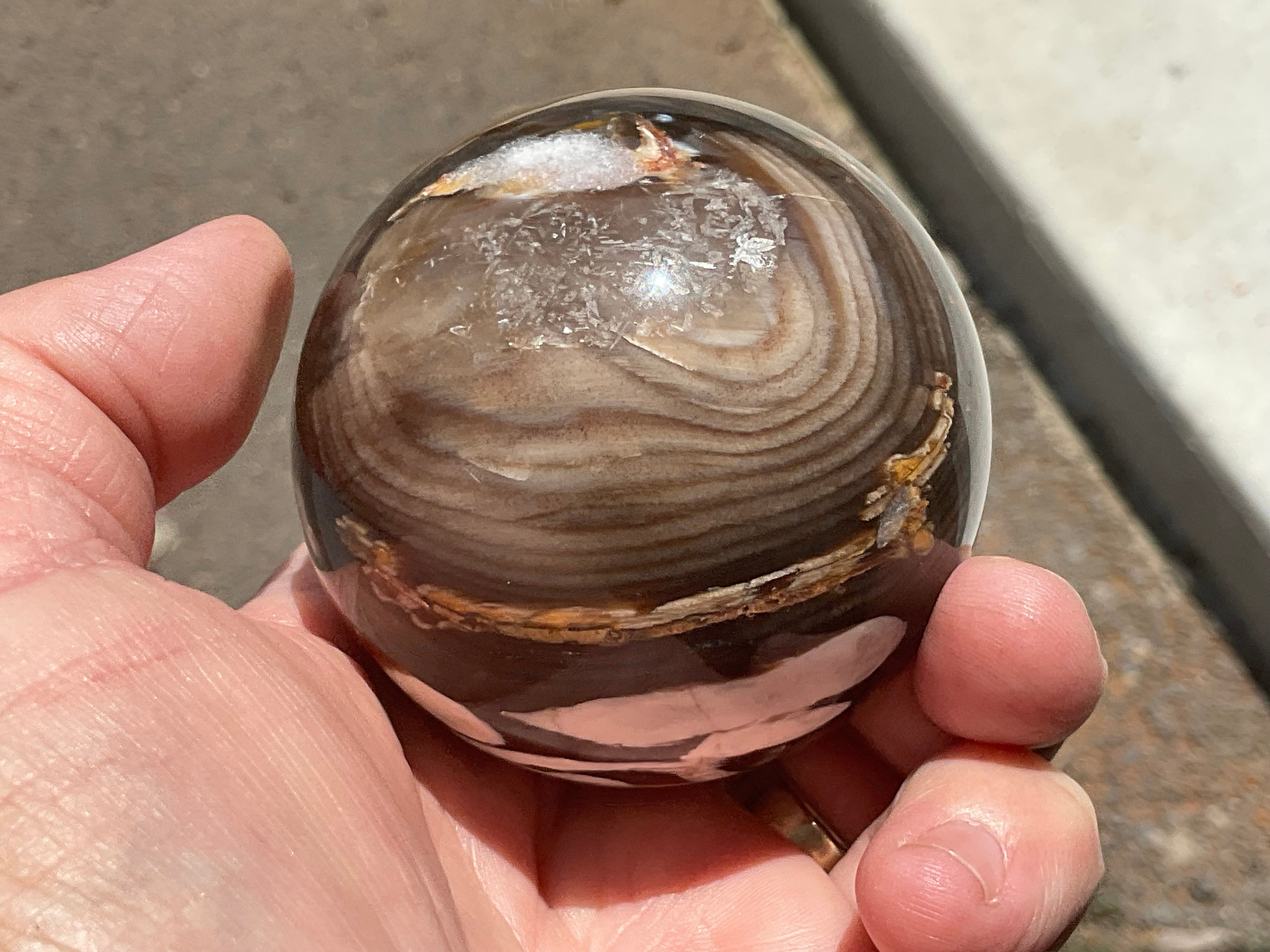334g Western Australian “Peanut Wood” Sphere 4B