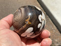 334g Western Australian “Peanut Wood” Sphere 4B