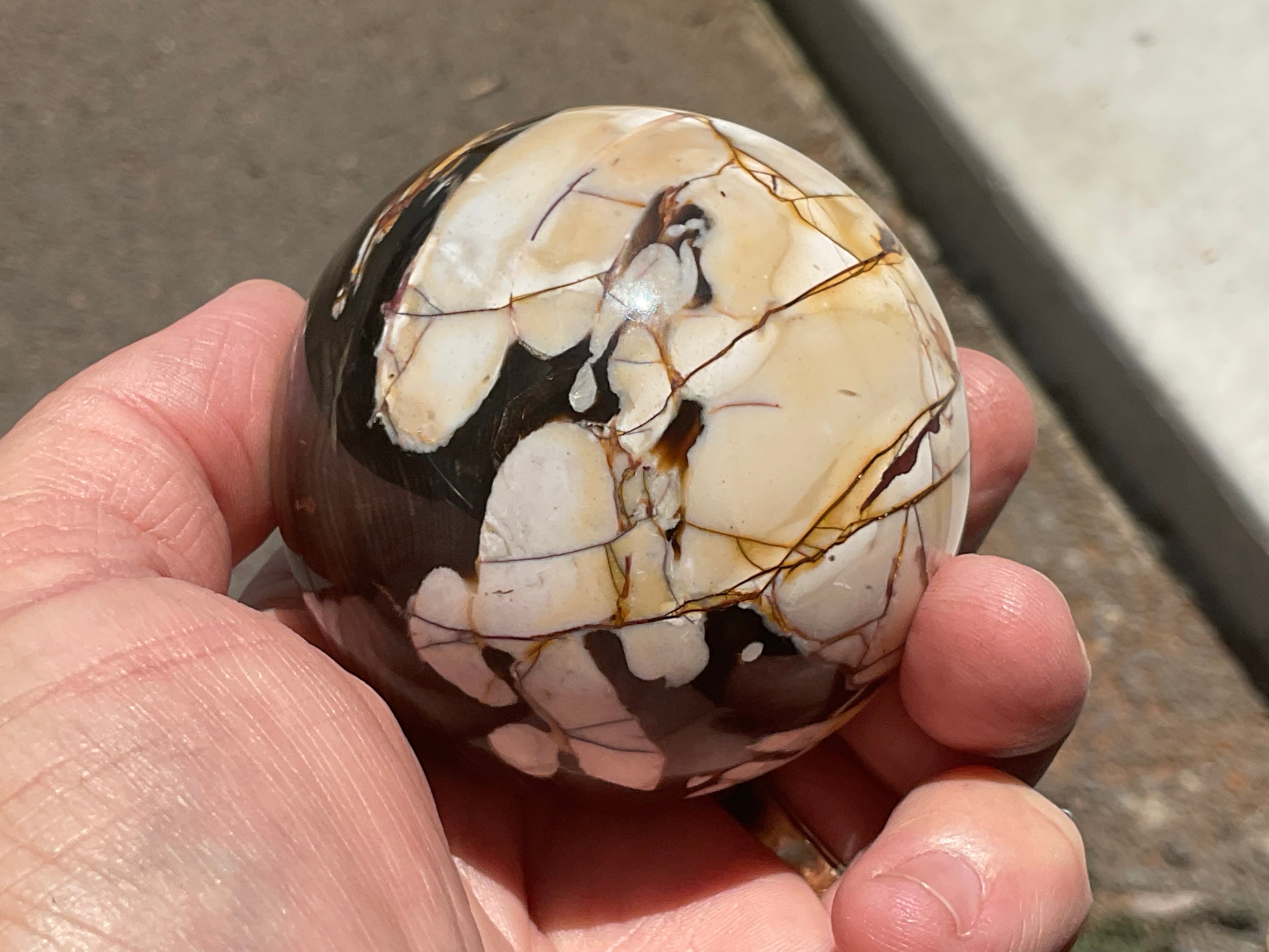 334g Western Australian “Peanut Wood” Sphere 4B