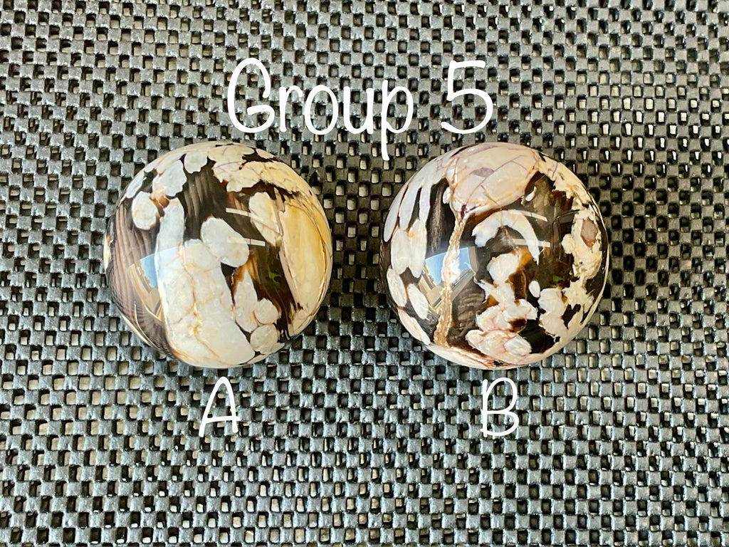 350g Western Australian “Peanut Wood” Sphere 5A