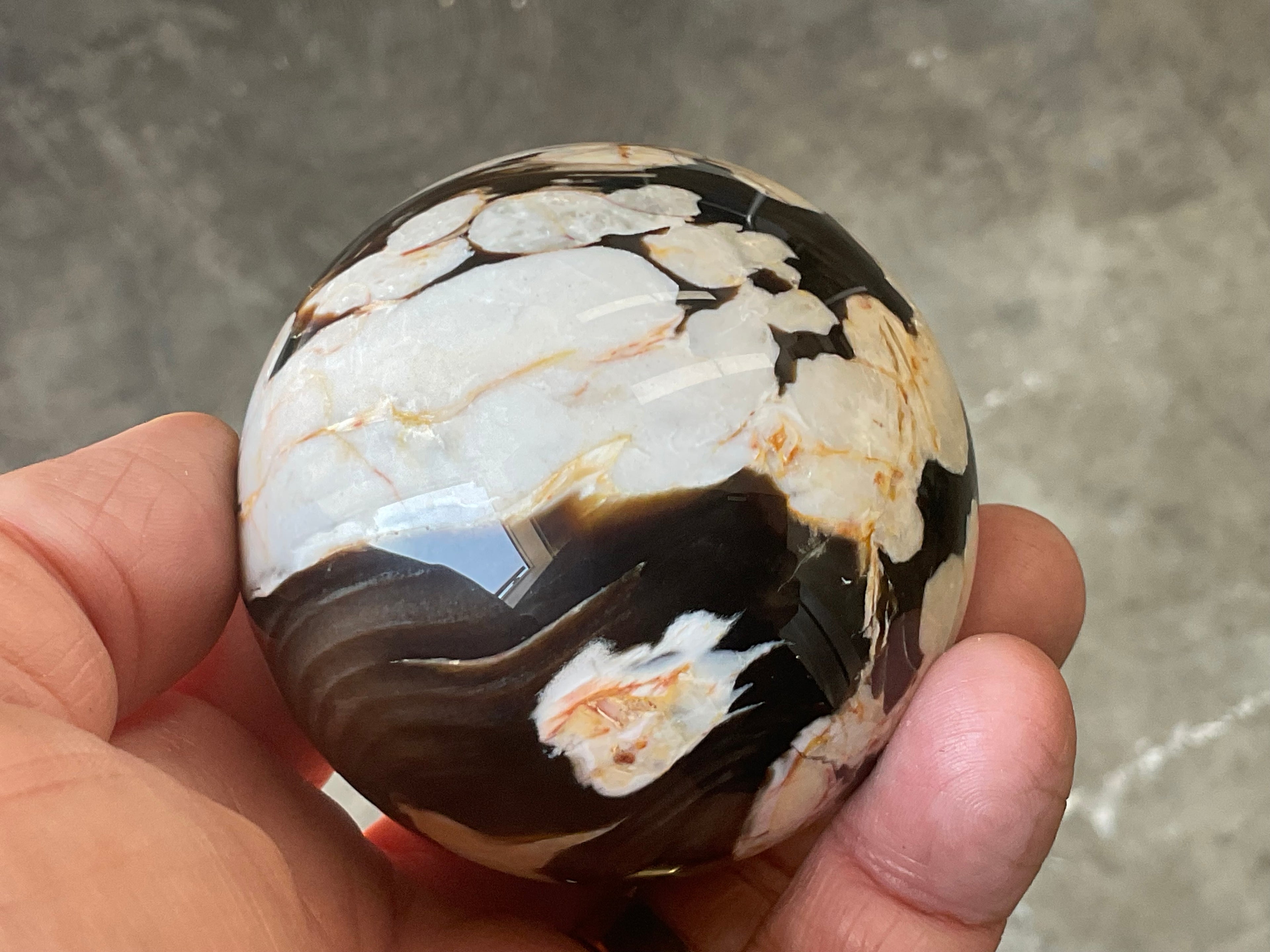350g Western Australian “Peanut Wood” Sphere 5A