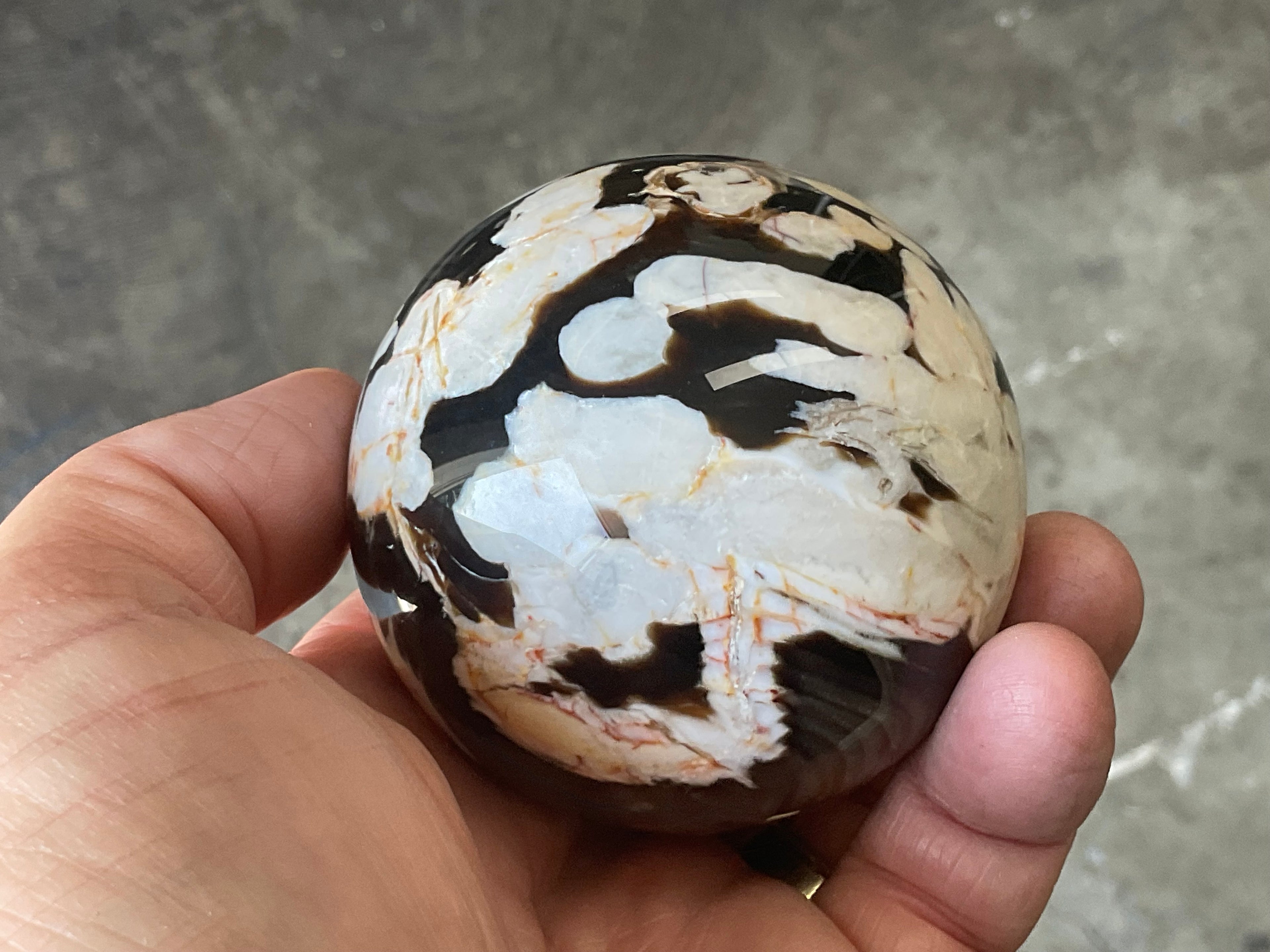 350g Western Australian “Peanut Wood” Sphere 5A