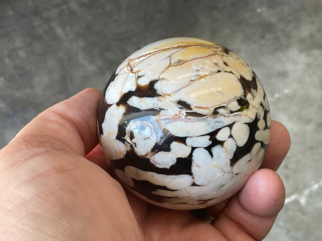 350g Western Australian “Peanut Wood” Sphere 5A