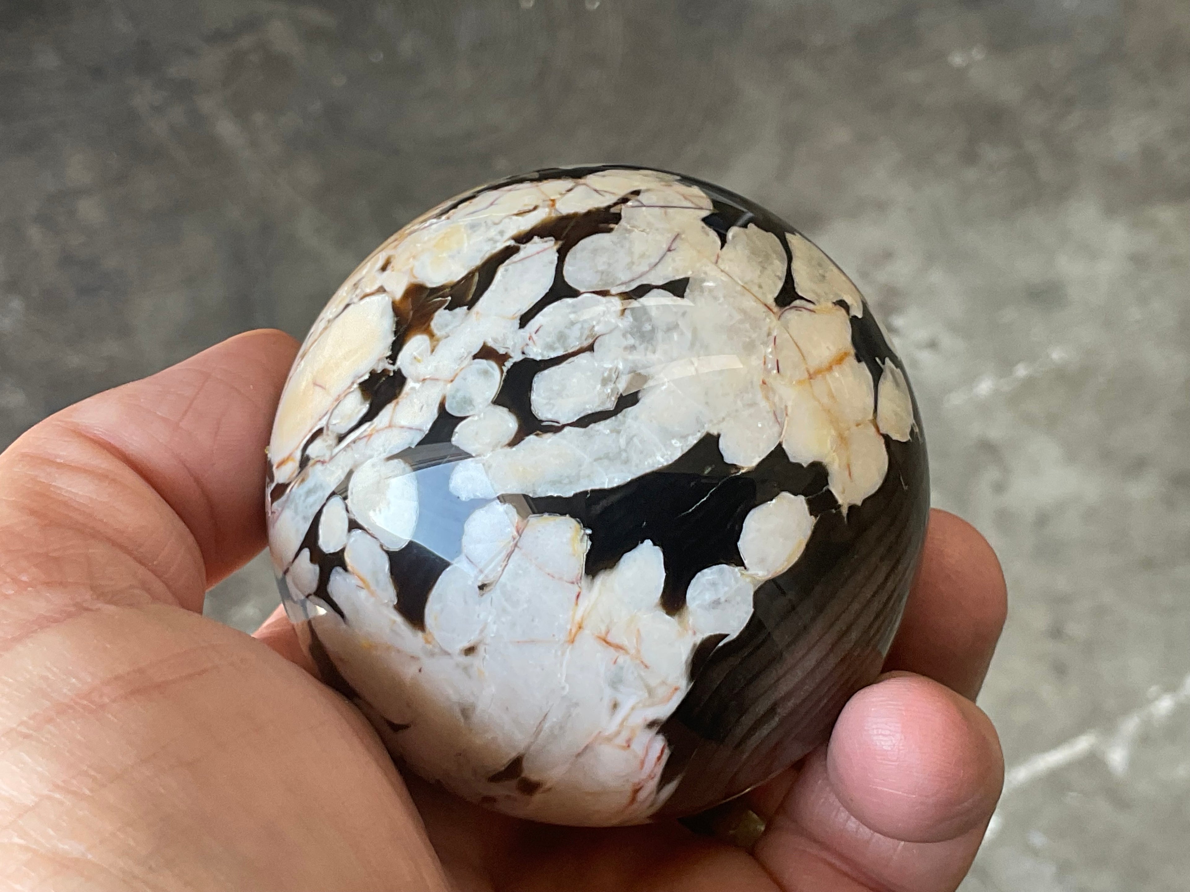350g Western Australian “Peanut Wood” Sphere 5A