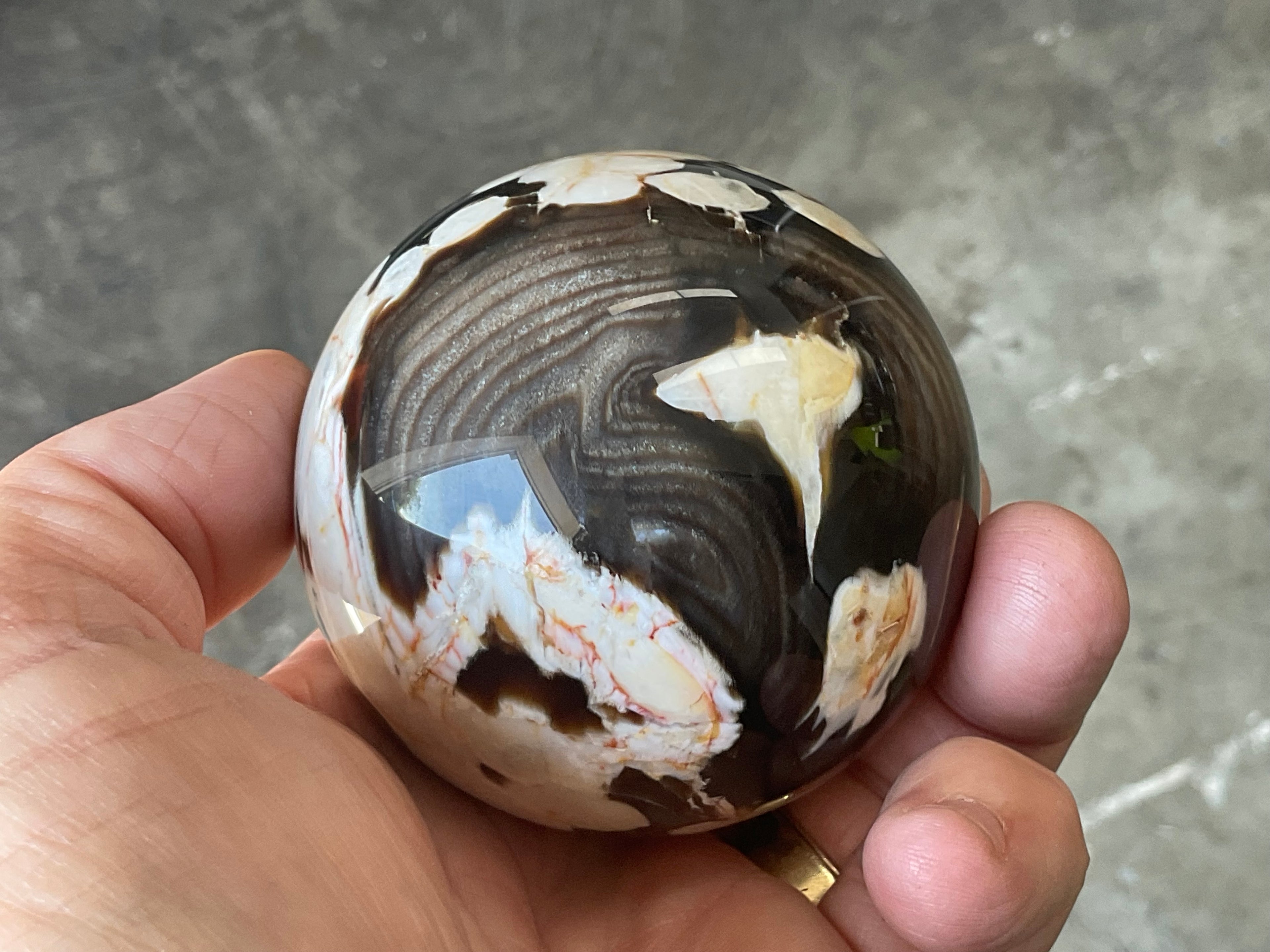 350g Western Australian “Peanut Wood” Sphere 5A