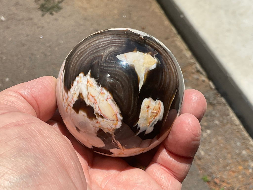 350g Western Australian “Peanut Wood” Sphere 5A