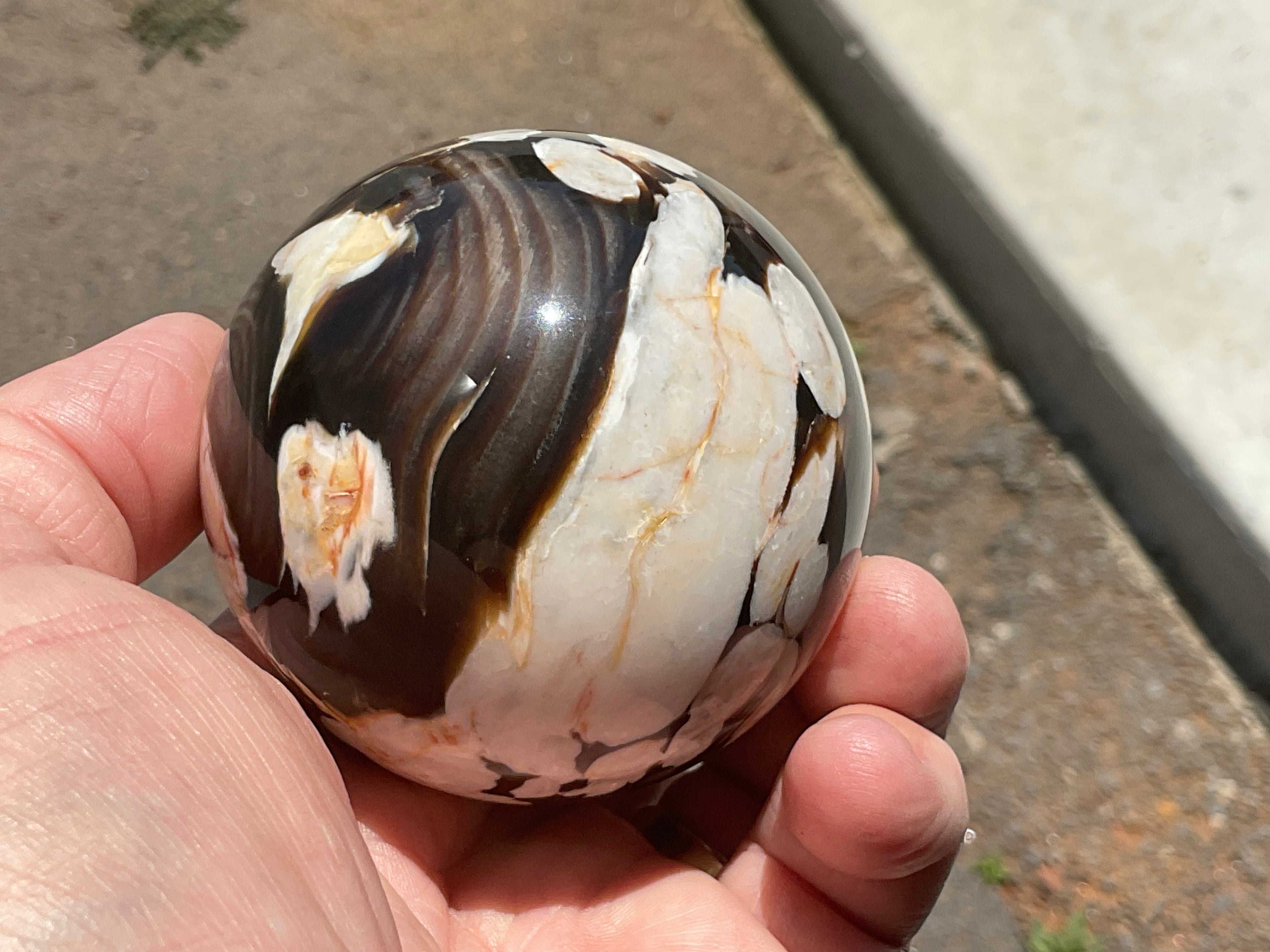 350g Western Australian “Peanut Wood” Sphere 5A