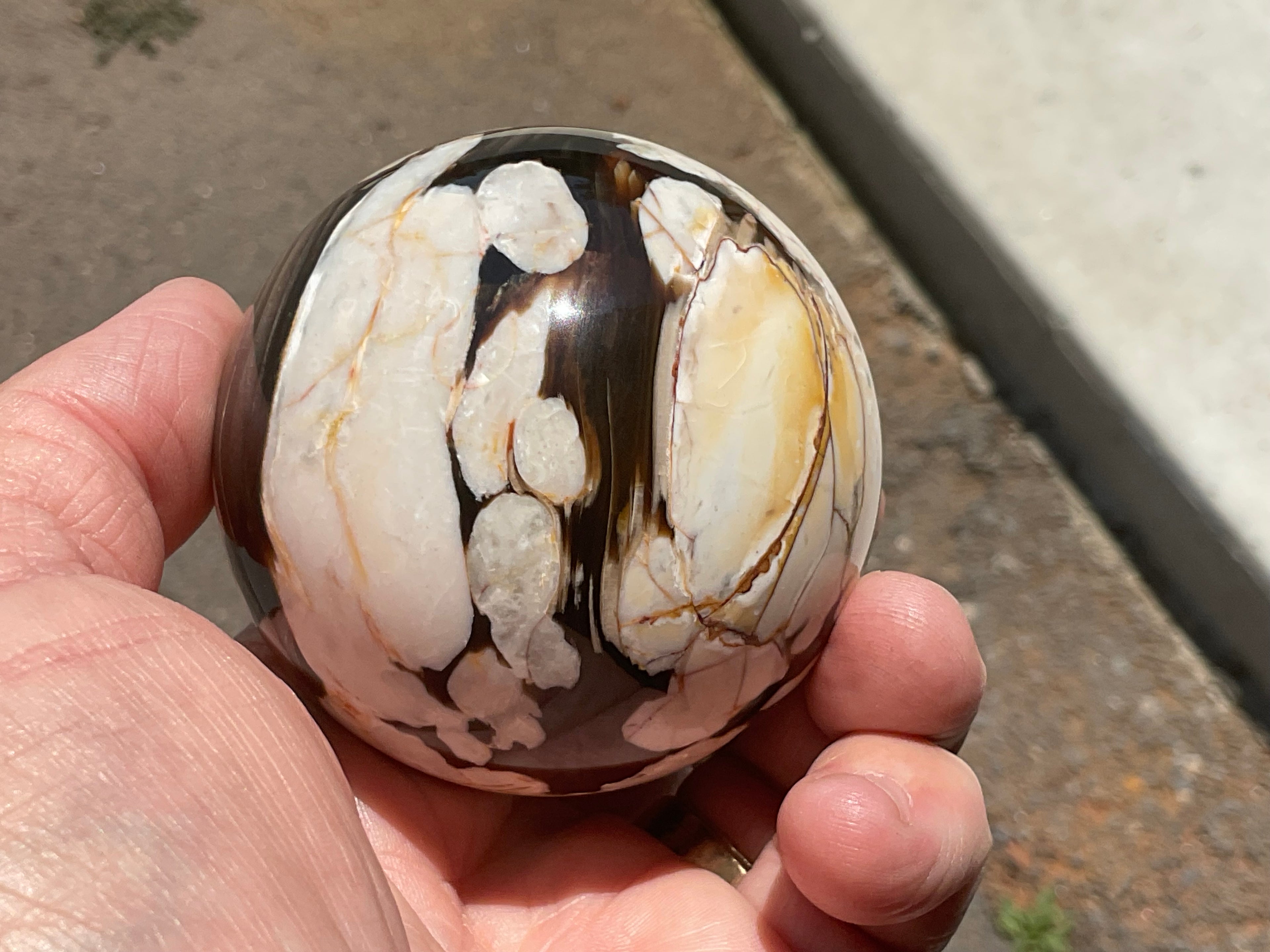 350g Western Australian “Peanut Wood” Sphere 5A
