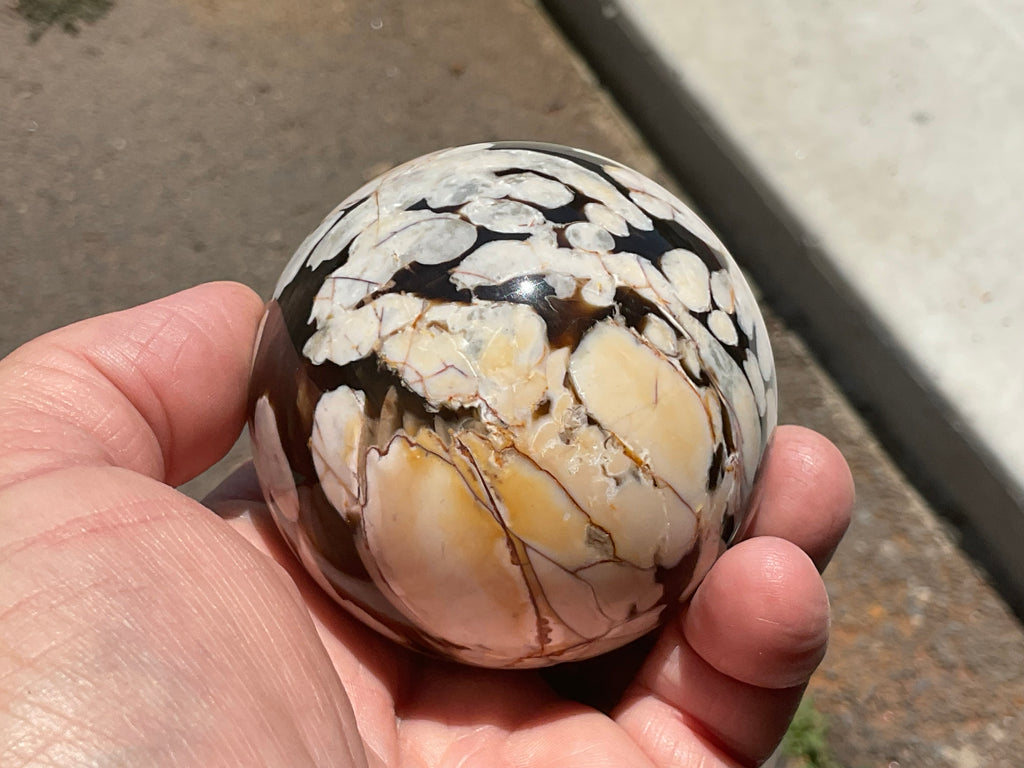 350g Western Australian “Peanut Wood” Sphere 5A