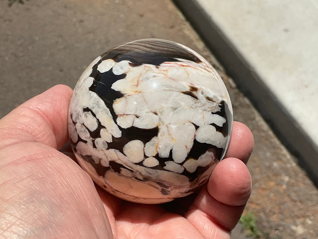 350g Western Australian “Peanut Wood” Sphere 5A