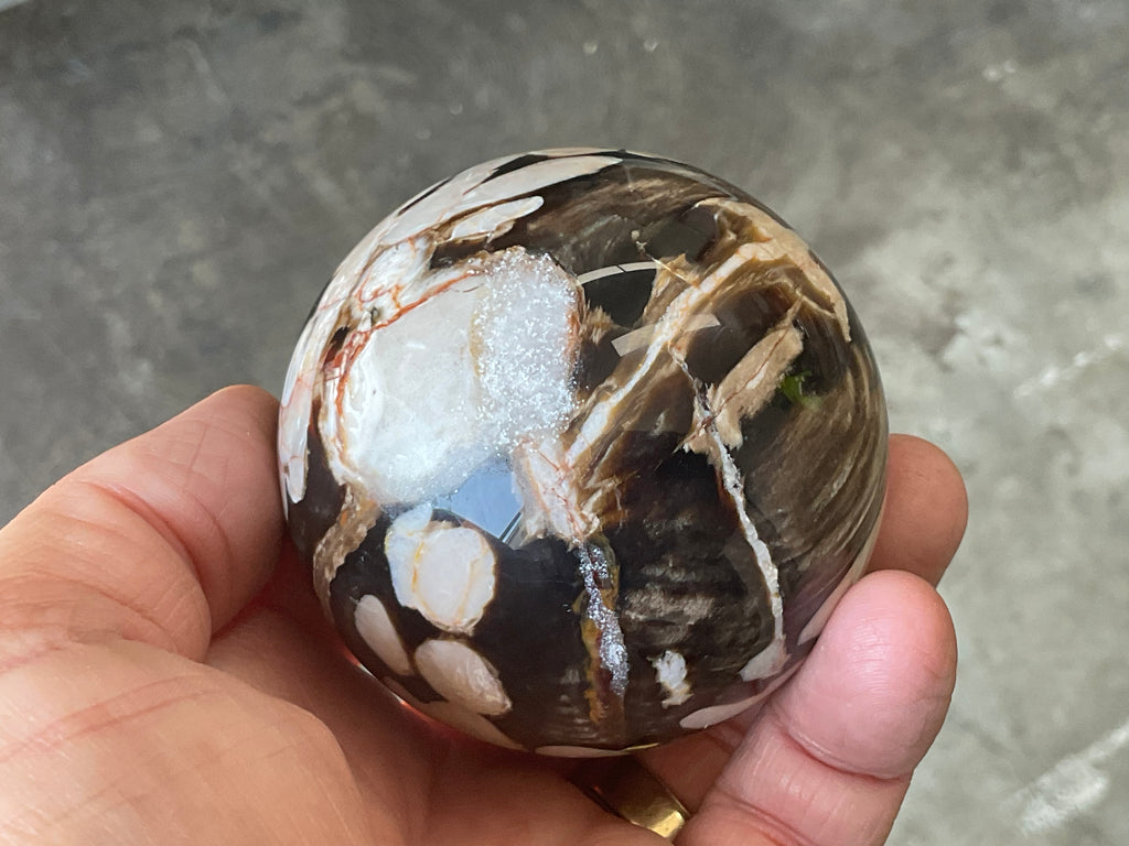 368g Western Australian “Peanut Wood” Sphere 5B