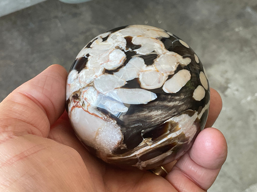 368g Western Australian “Peanut Wood” Sphere 5B