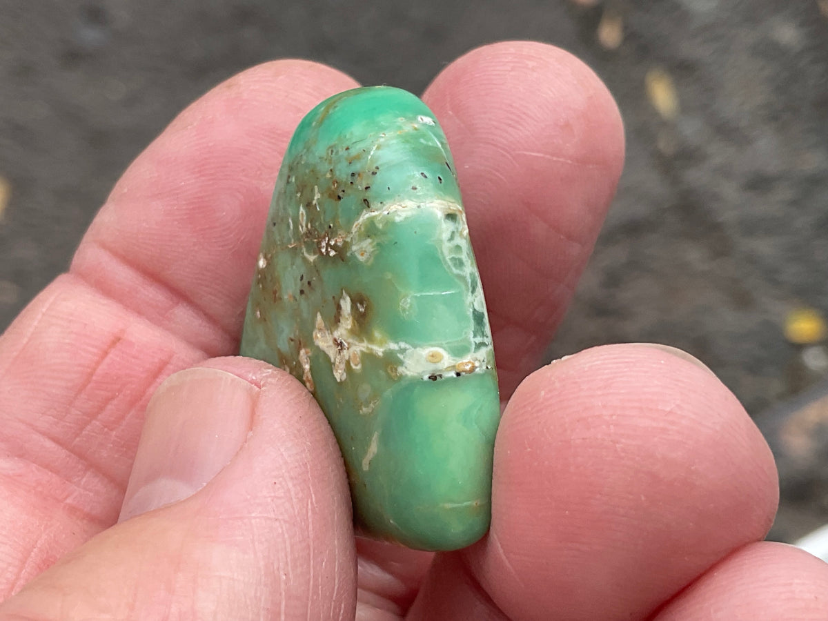 14g Tumbled Variscite Piece 3B