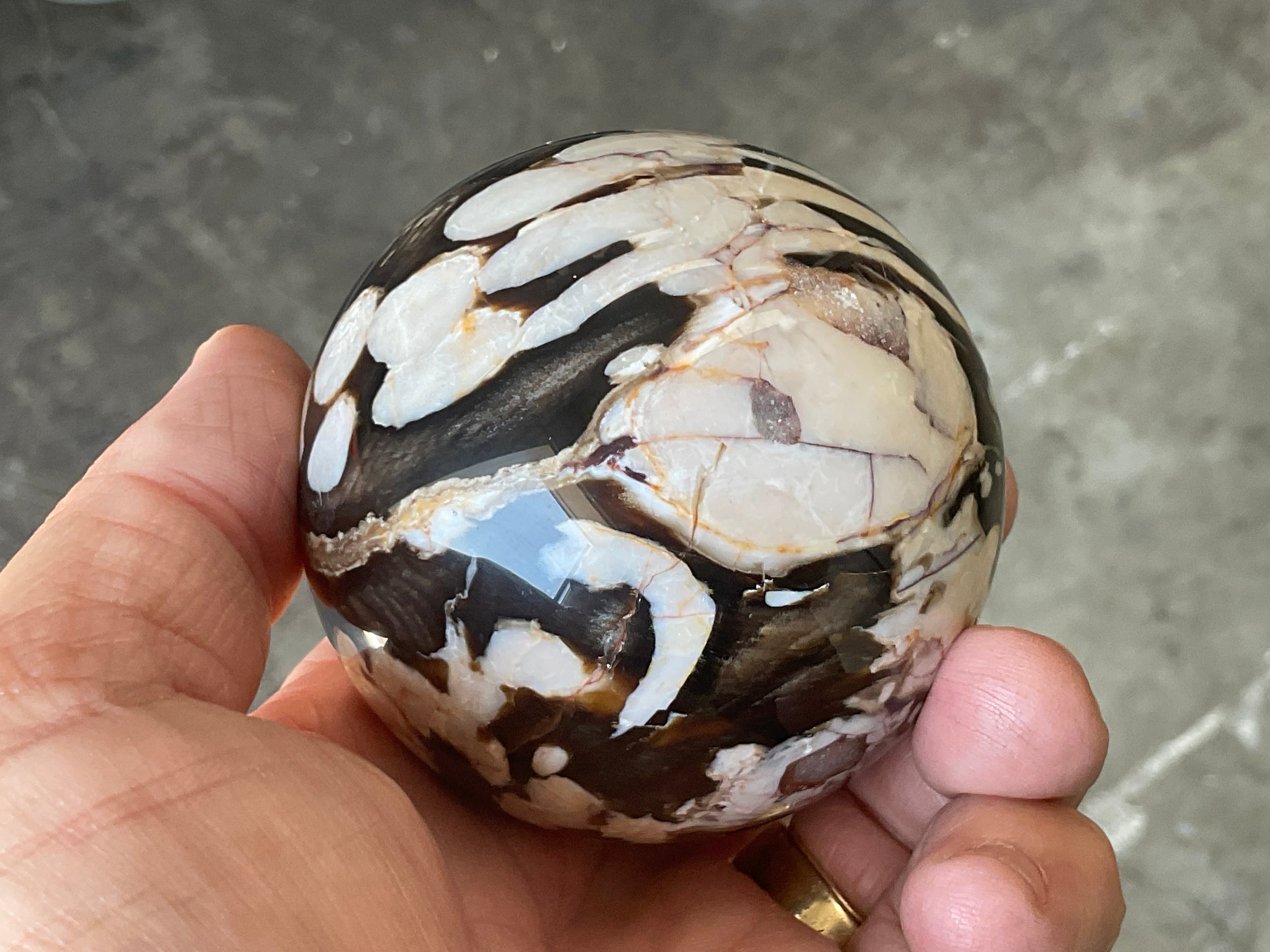 368g Western Australian “Peanut Wood” Sphere 5B