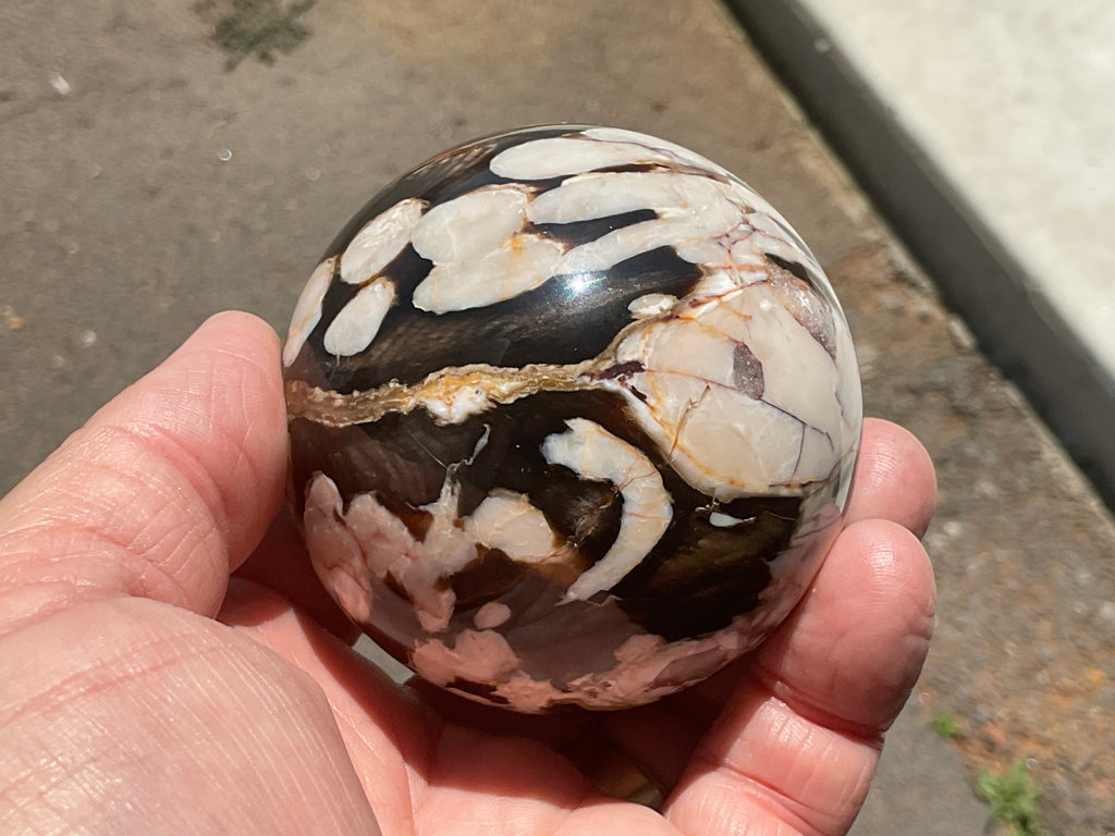368g Western Australian “Peanut Wood” Sphere 5B