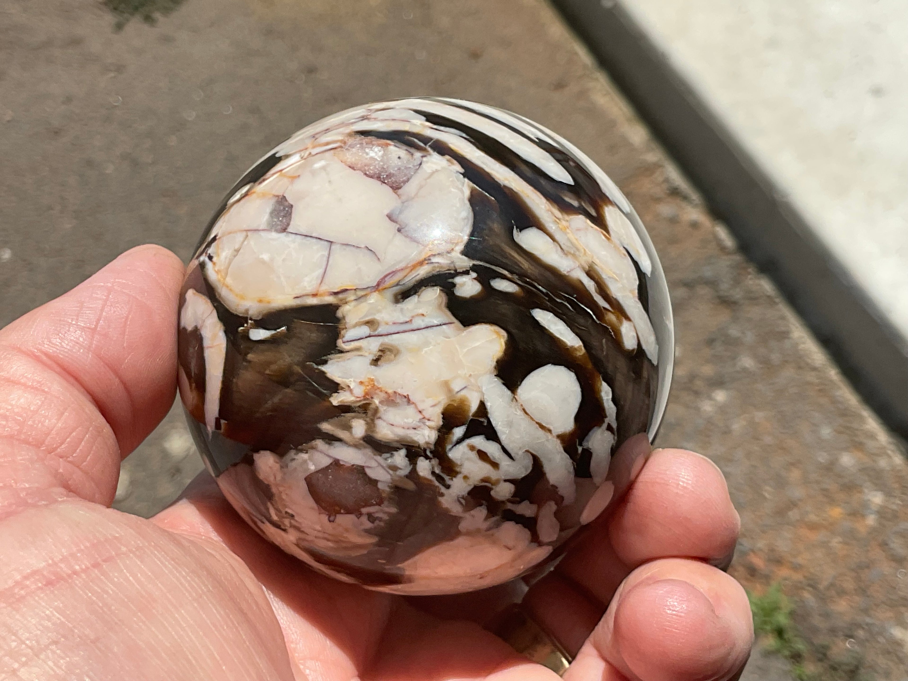 368g Western Australian “Peanut Wood” Sphere 5B