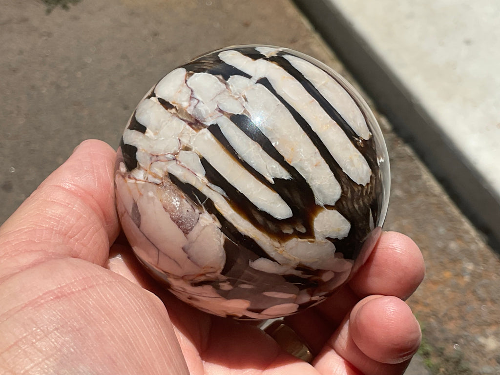 368g Western Australian “Peanut Wood” Sphere 5B
