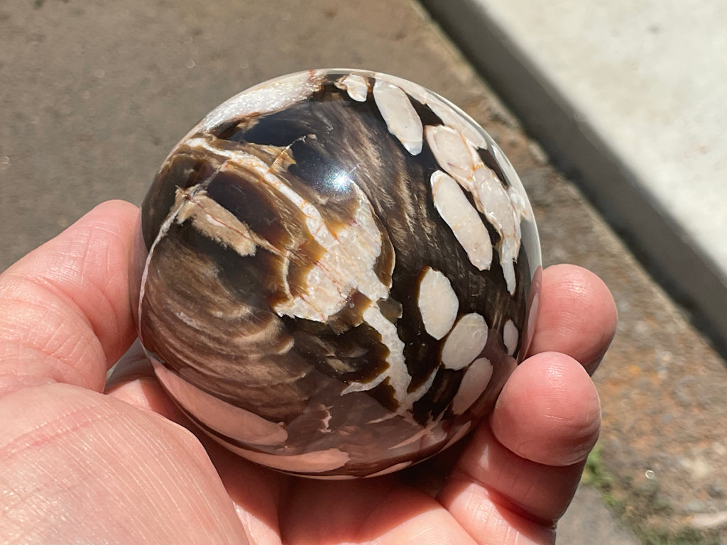 368g Western Australian “Peanut Wood” Sphere 5B
