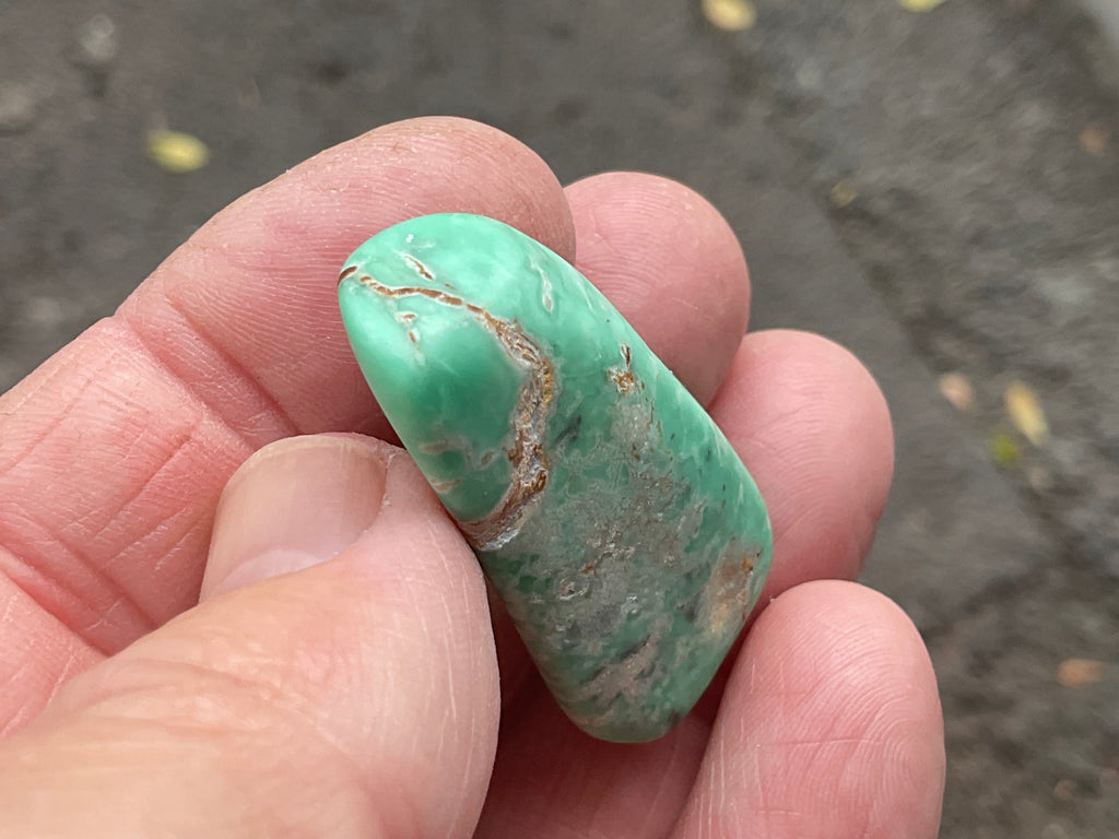 16g Tumbled Variscite Piece 4C