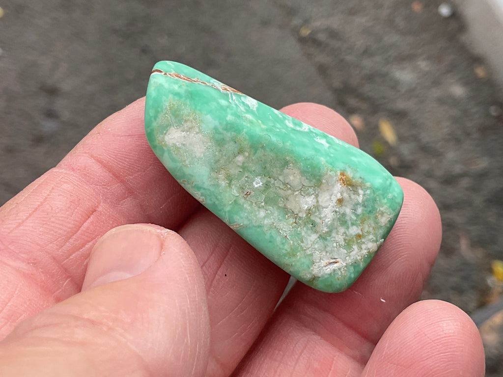 16g Tumbled Variscite Piece 4C