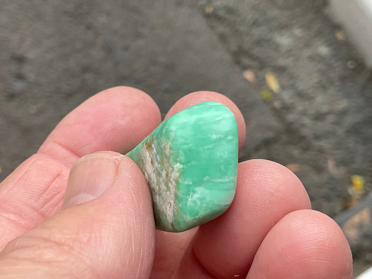 16g Tumbled Variscite Piece 4C