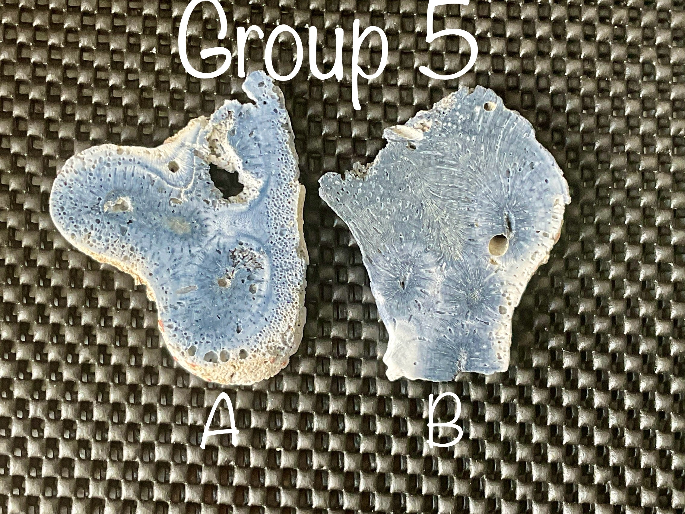 36g Natural Blue Fossilised Coral Slab 5B